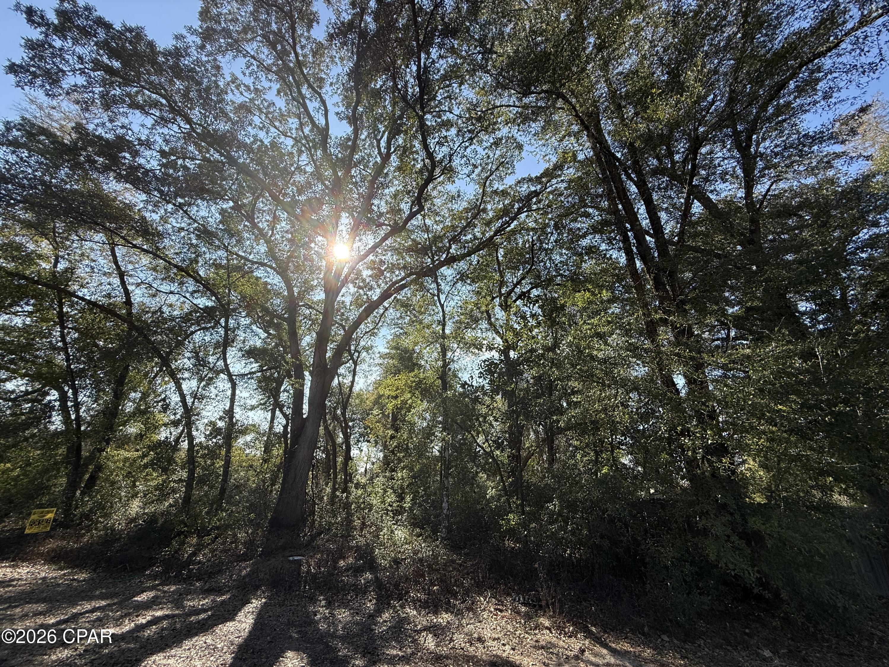 Discover the perfect place to build your dream home on this 0.89 ± acre lot (#1) located in the private and peaceful Indian Springs Golf Club community in Marianna, Florida. Known for its friendly, close-knit atmosphere, Indian Springs is a neighborhood where you can truly slow down, relax, and feel at home, while still staying conveniently close to shopping, dining, and everyday necessities. Recent upgrades to the community include newly paved roads and connection to water/sewer access.
The community features the 18-hole Indian Springs Golf Club, complete with a clubhouse and pro shop, all set among beautiful natural scenery. Whether you're an avid golfer or simply enjoy the serene surroundings, this neighborhood offers a welcoming lifestyle that's hard to find.
One of the most special features of this property is its deeded access to Merritt's Mill Pond. This 202-acre, spring-fed pond boasts crystal-clear water that stays cool year-round and stretches nearly four miles in length. Known as one of the area's premier fishing spots, the pond offers excellent shellcracker fishing along with kayaking, canoeing, and peaceful waterfront enjoyment. Public access is only 3.5 miles away. 
Located in the heart of the Florida Panhandle, Marianna offers small-town charm with easy access to outdoor recreation, natural springs, and scenic waterways. This lot provides a rare opportunity to enjoy golf course living paired with recreational access, all in a quiet, welcoming community.
Whether you're planning a full-time residence, retirement home, or peaceful getaway, this property offers the setting, lifestyle, and location to make it truly special.
Contact us today for more information on this beautiful opportunity in Indian Springs!  (Note: Buyer should verify utilities, property restrictions, and listing details.)

Key Features:

*Deeded access to Merritt's Mill Pond
*Public access to Merritt's Mill Pond is only 3.5 miles from property
*Private and peaceful community living
*18-hole community golf course
*Build now or investment in the future