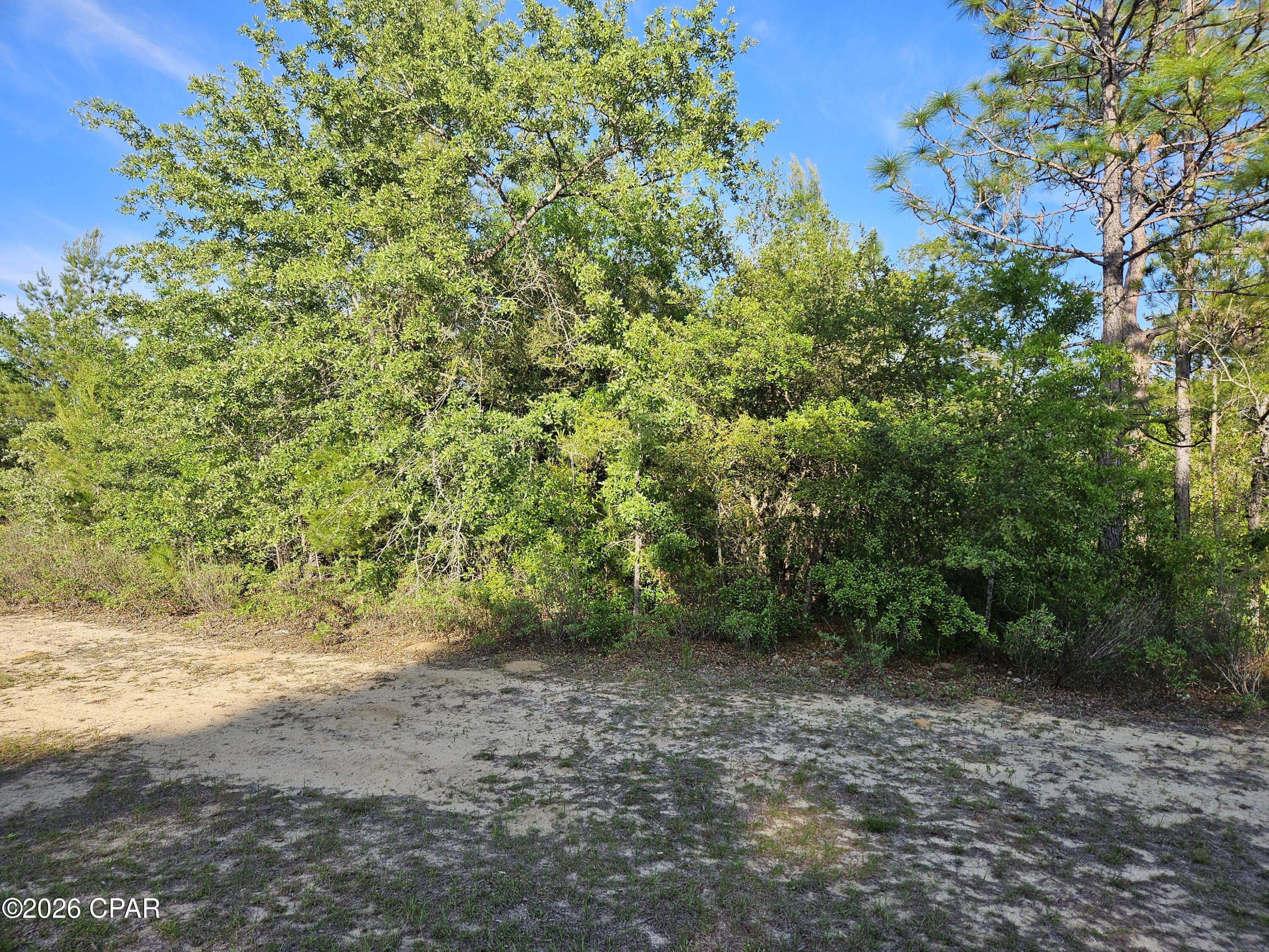 This lot on a nice paved road offers some privacy as lots on both sides are not developed. It is flat with plenty of oaks and pines. It is conveniently located just off Sunny Hills Boulevard, which is the main entrance to the growing subdivision. There are many recreational opportunities nearby including several lakes for fishing, boating, kayaking and just exploring. Many residents and visitors enjoy the Sunny Hills Golf & Country Club's 18 hole golf course that features wide fairways and large greens. Public water is available and septic tank is needed. Electricity provider is Florida Power and Light.