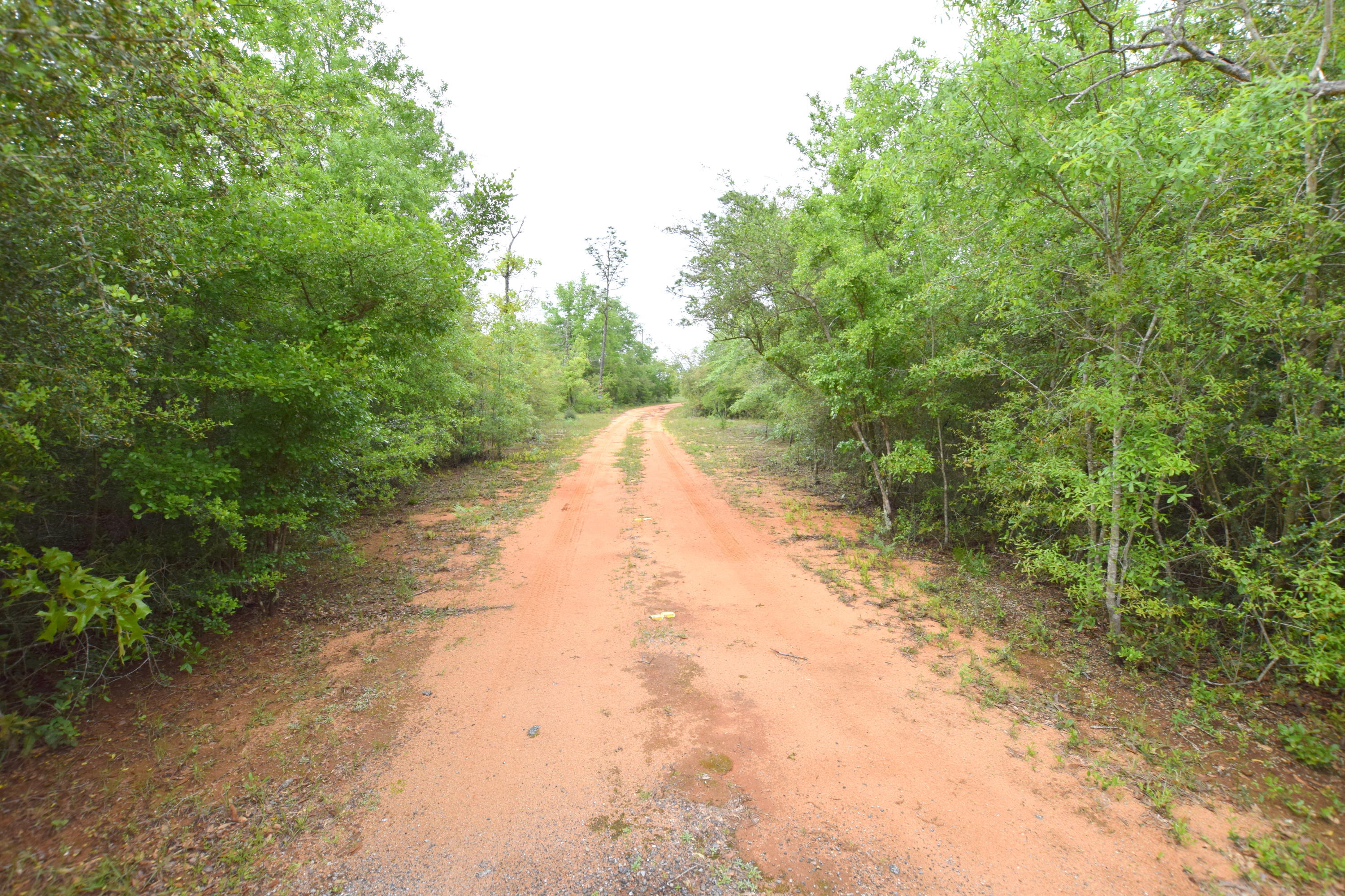 Secluded down a private driveway on more than 4.9 acres sits this 3-bedroom, 2 bath mobile home. Inside features include a split floor plan, open concept, large living room, eat-in kitchen and spacious master suite with walk-in closet, soaking tub, and separate shower. Property Is located off a paved road just off Orange Hill Highway.