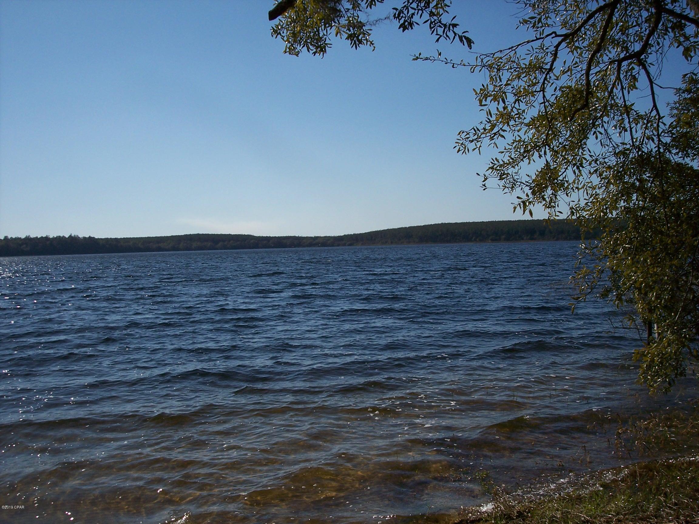 Porter Pond - Land