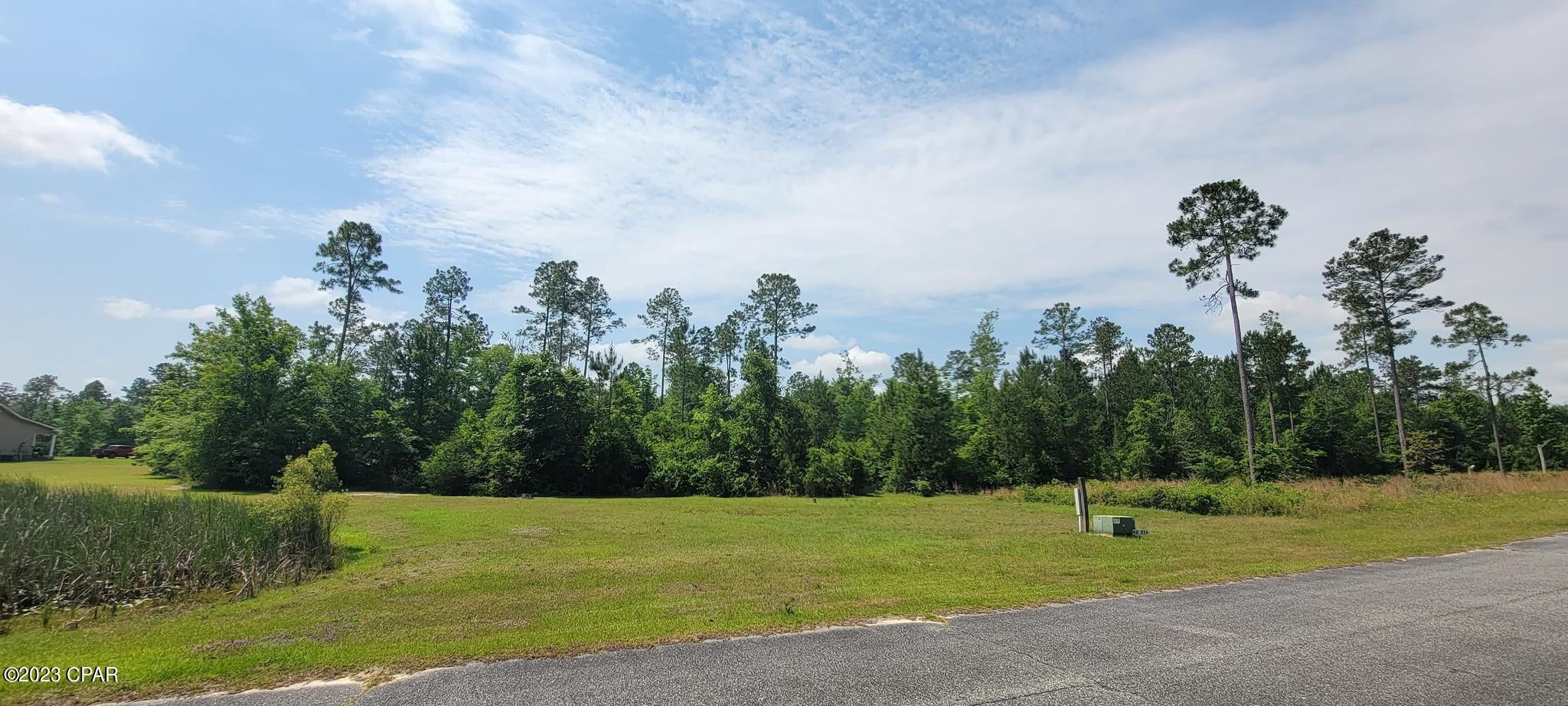 Blue Springs Plantation - Land