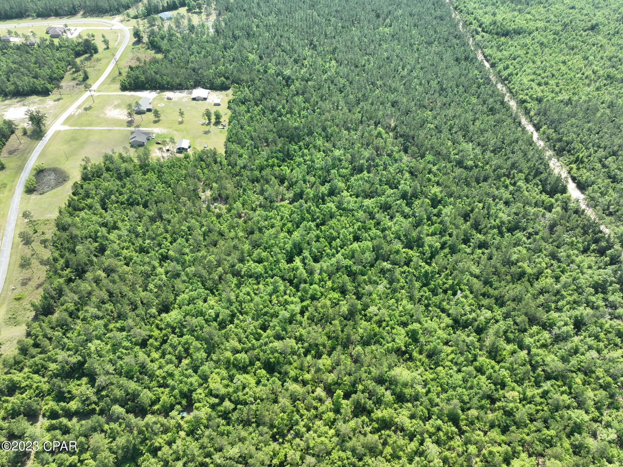 Blue Springs Plantation - Land