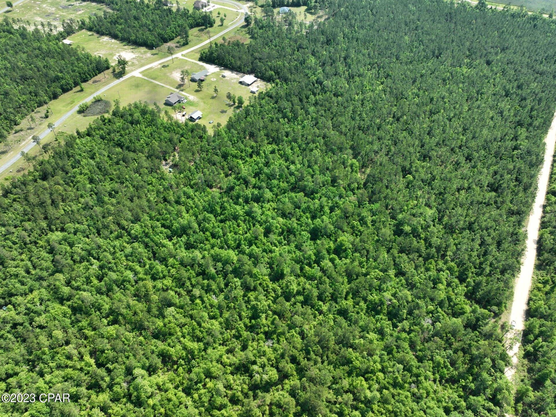 Blue Springs Plantation - Land