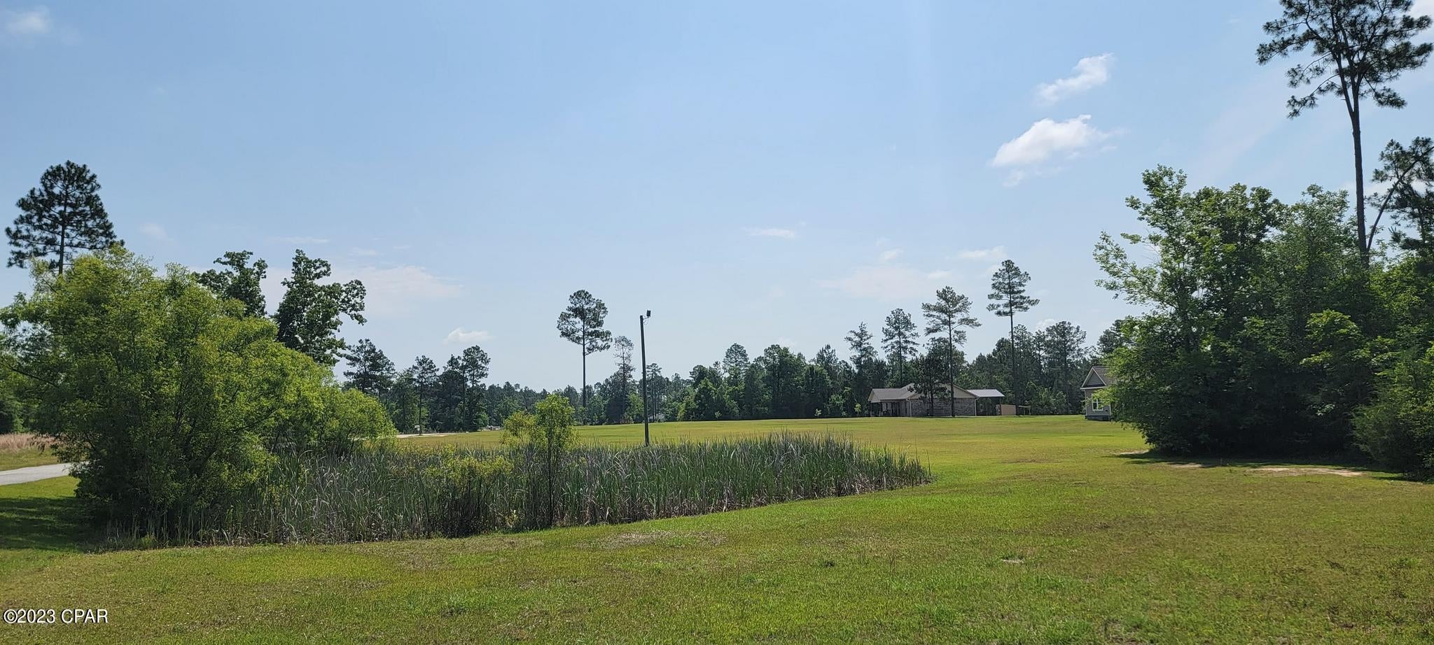 Blue Springs Plantation - Land