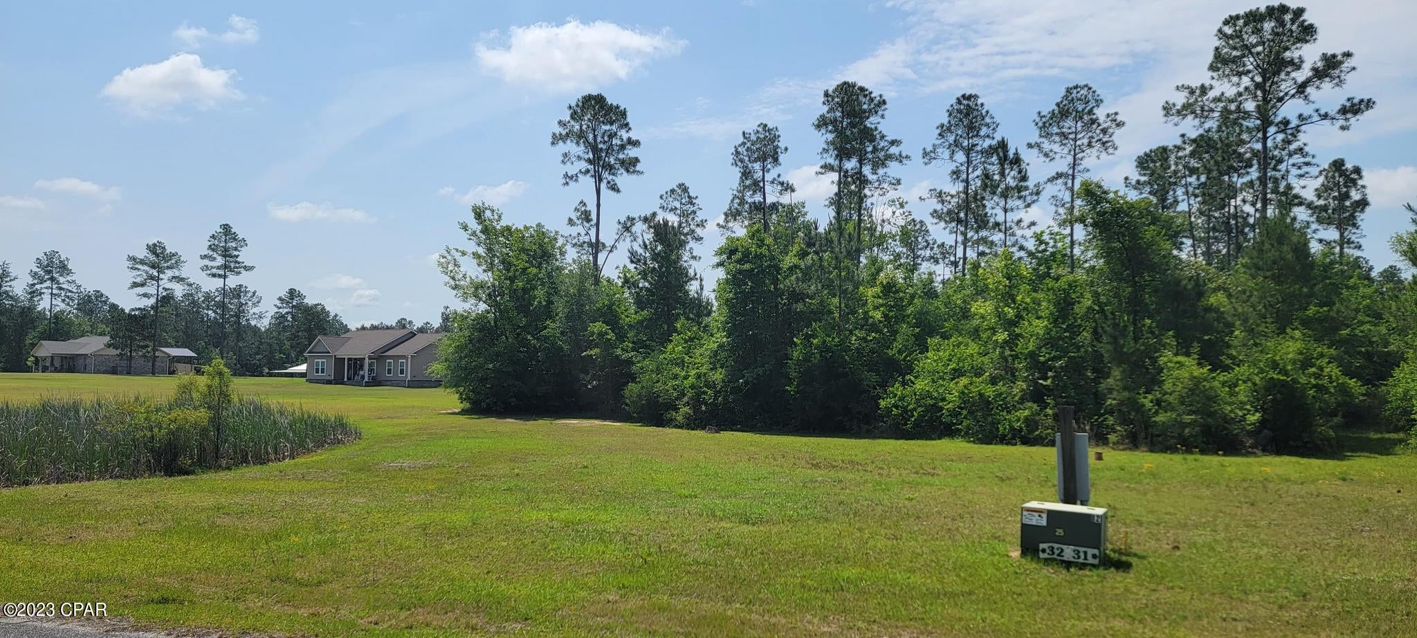 Blue Springs Plantation - Land