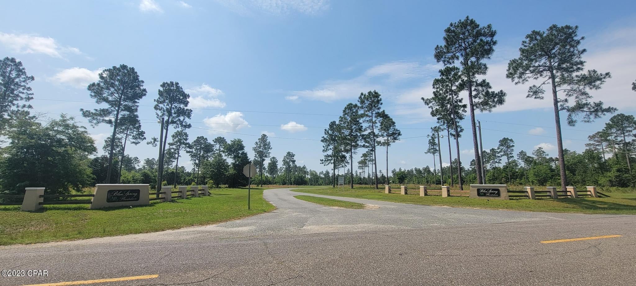 Blue Springs Plantation - Land
