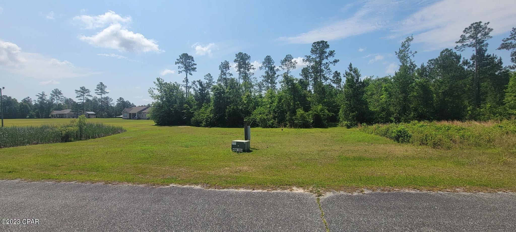 Blue Springs Plantation - Land