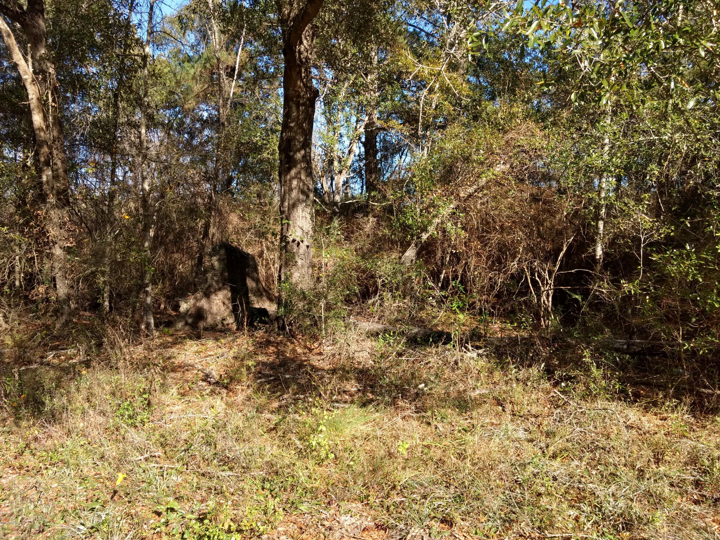 Lots of highway frontage, mostly wooded. Approx. half of the property is in a large cypress pond. Buyer will have to determine if there is enough high ground to build on. Great location, not far from Bonifay and Caryville.