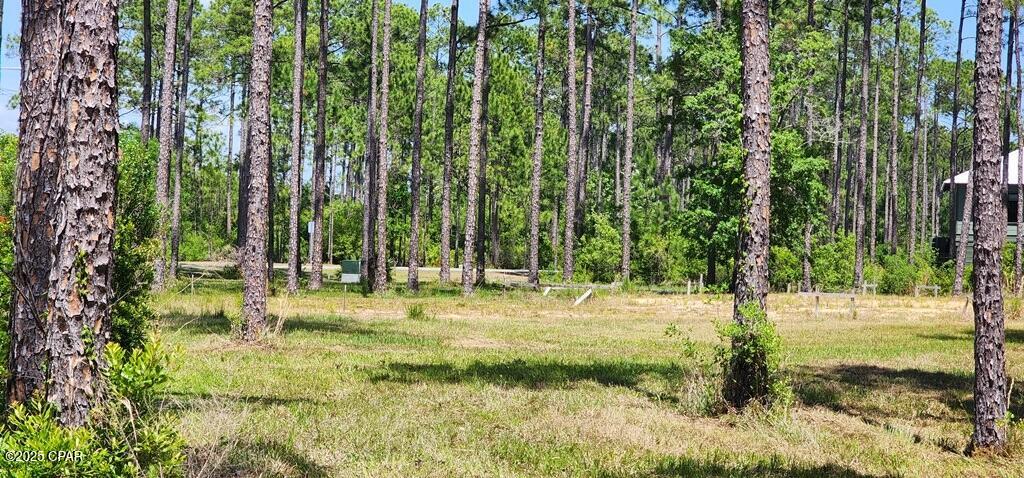 Rivercamps On Crooked Creek - Land