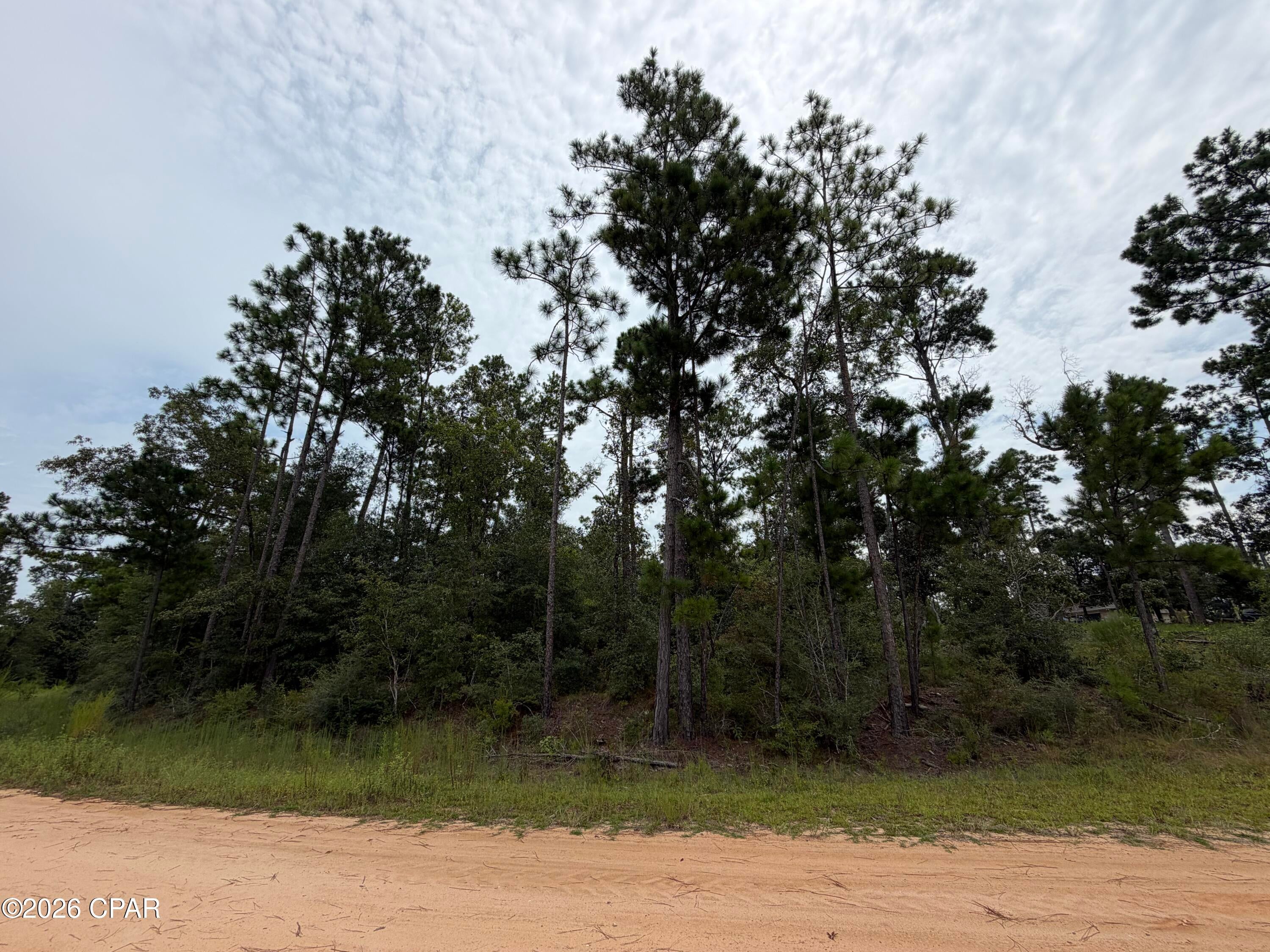 Compass Lake Hills Unit 5 - Land
