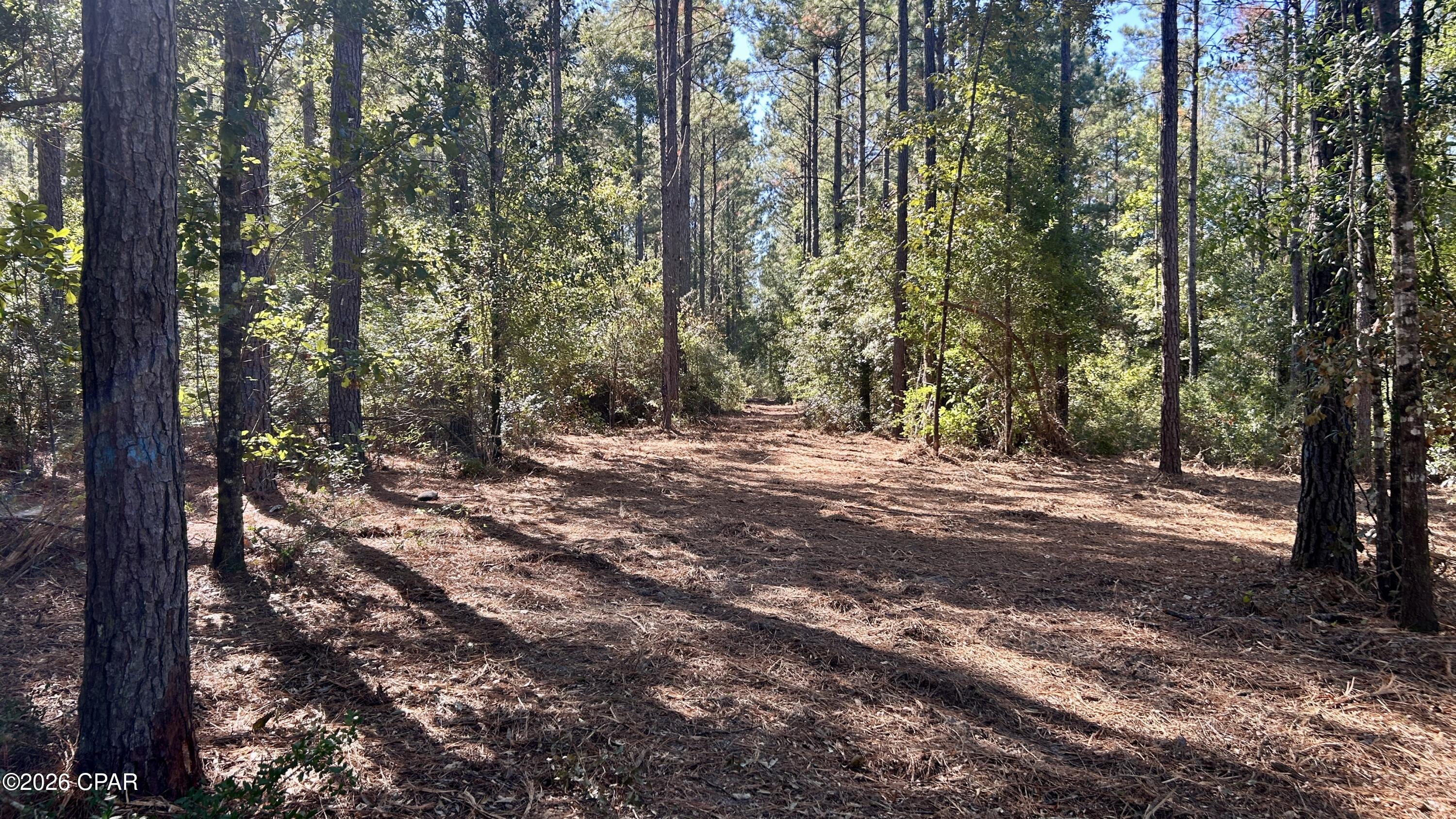 Other - Land