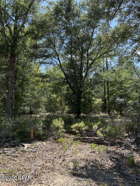 Discover 6.67 acres MOL of high-and-dry land, to be split from the parent parcel, offering the perfect blend of privacy and natural beauty. Tucked away at the end of a deeded easement, this property is loaded with beautiful oak and pine trees, with portions already cleared to help you envision your future homesite. With multiple building locations to choose from, you'll have plenty of flexibility to create your ideal country retreat. Bring your horses, farm animals, and gardening plans--there's ample room to enjoy a rural lifestyle.  Enjoy easy access to Compass Lake, just minutes away, where you can launch your boat, fish, or spend the day on the water with your jet skis. Conveniently located off Highway 231, you'll have a straight route north to Dothan, Alabama, and south to Panama City and the beautiful Gulf Coast beaches. If privacy is what you're seeking, this property is a must-see.