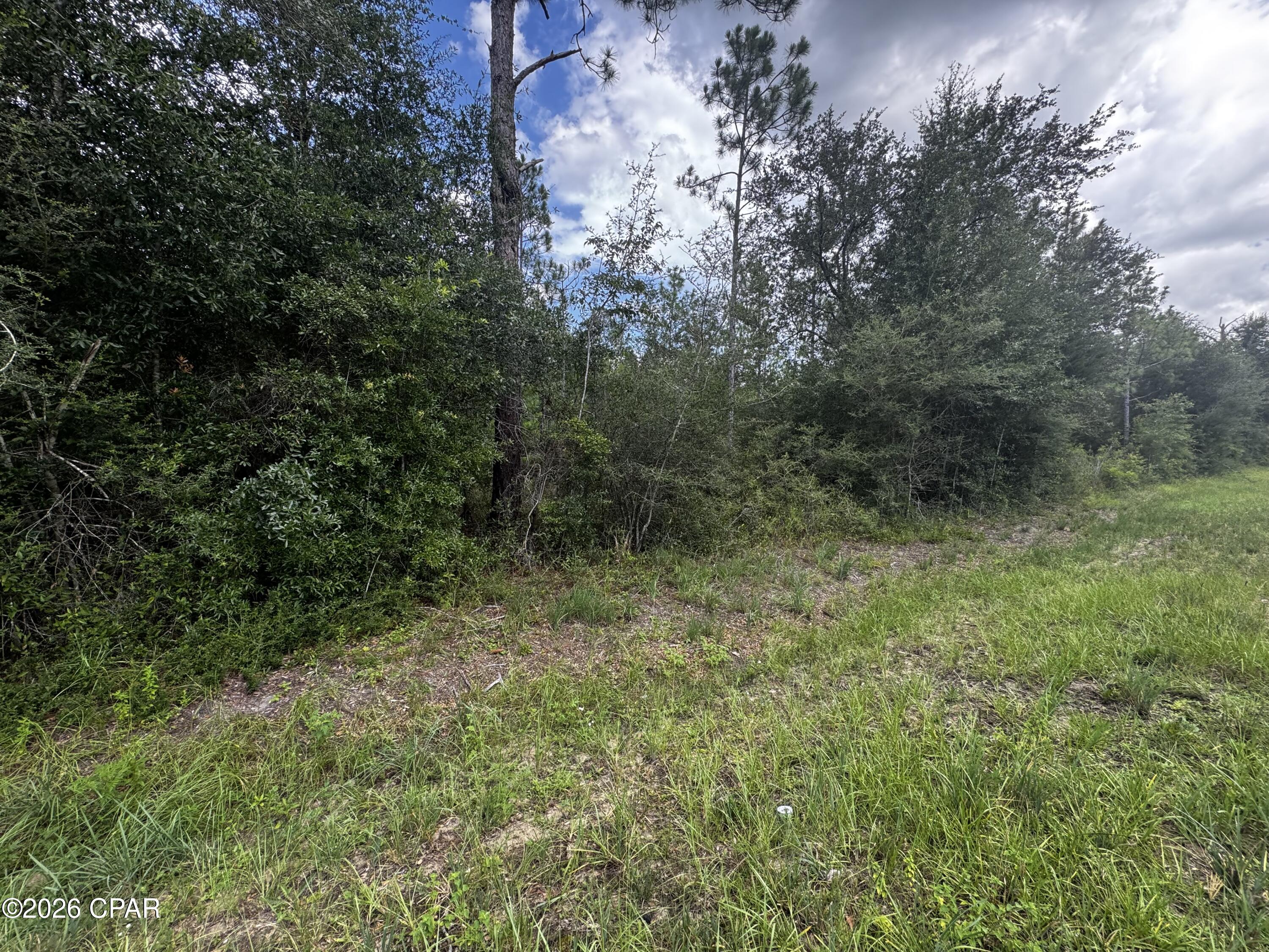 Almost a half acre lot located within walking distance of mossy pond.