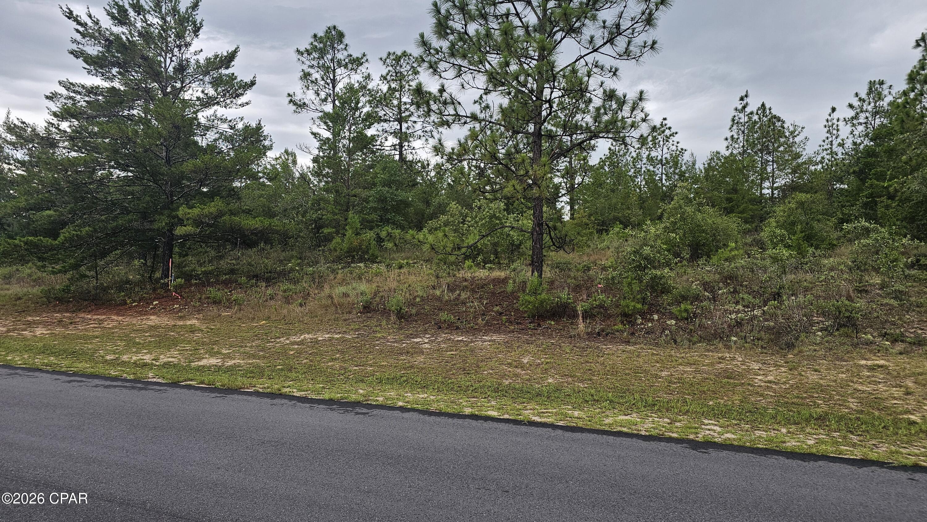PERFECT lot to build on in desirable Unit 19 of Sunny Hills. High and dry, great, newly paved road, and power and water readily available. Just off Hwy 77, you have quick and easy access to Hwy 77, which, heading north gets you in 20 minutes to I-10 and Chipley, and heading south gets you quickly to Bay County. You'll be just 30 mins. to NW FL Beaches Int'l Airport, 30-40 to Panama City and Panama City Beach, home of our beautiful white-sand beaches and emerald-green Gulf Coast ocean. Besides the beach In PCB, you'll find all the fun, shopping, and eating you could dream of with Pier Park, amazing restaurants, and The Grand Theater. If you prefer to stay close to home, right here in Sunny Hills you have plenty of fishing ponds, golf course, public library, Wilder Skate Park and pavilion (including pickle ball!) and our very popular Boat Lake Swimming & Recreation Park. Just outside of Sunny Hills we have many fun recreational cold (VERY cold!) spring parks! In short, in growing Sunny Hills, where I'm told you cannot find cheaper Florida land, you'll be able to build your dream home and have easy access to all the best NW Florida has to offer. Drive by this lot soon and call your favorite Realtor to make an offer Right Now!