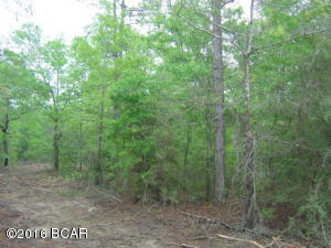 Great lot in Compass Lake in the Hills with all the amenities such as pool, tennis courts and other facilities. Level lot ready for building.