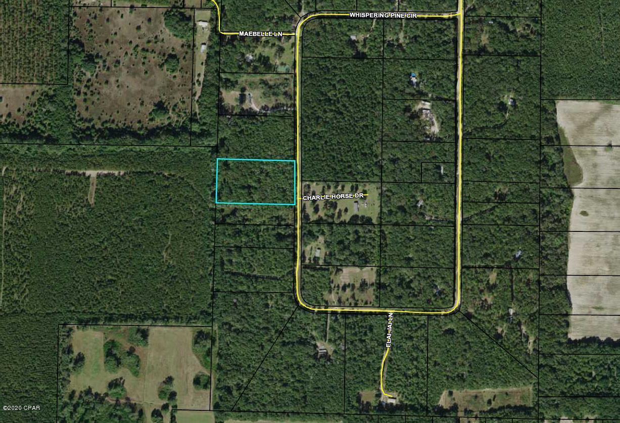 5 acre lot located between Greenwood FL and the world famous TWO EGG FL.  Perfect for someone that appreciates privacy yet not too far out.  Build your dream home, or bring your Manufactured Home.