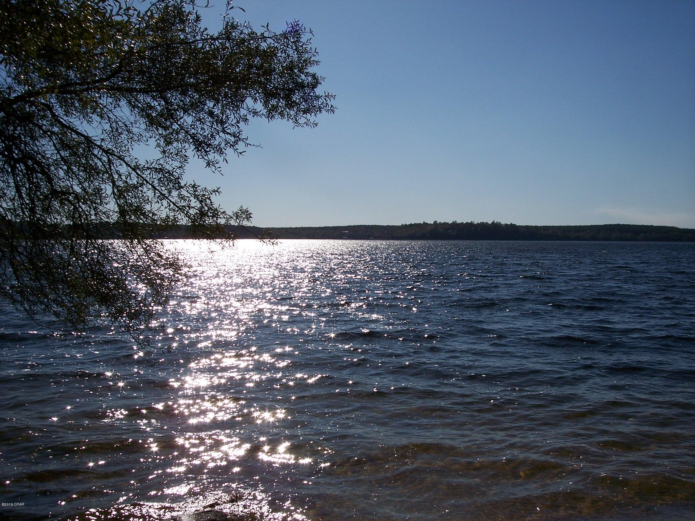Water view Lot! 1.12 ac. natural lightly wooded land divided and ready for building or mobile home. Buy now in time for Spring and Summer use and lot is elevated for you to see water. Well and Septic are needed. Beautiful, quiet, area on 990 acre Porter Pond with a concrete boat launch. Free fishing year round. Also a park area in vicinity for picnics. See​​‌​​​​‌​‌​​​​‌​​‌​​​​‌‌ photos!!