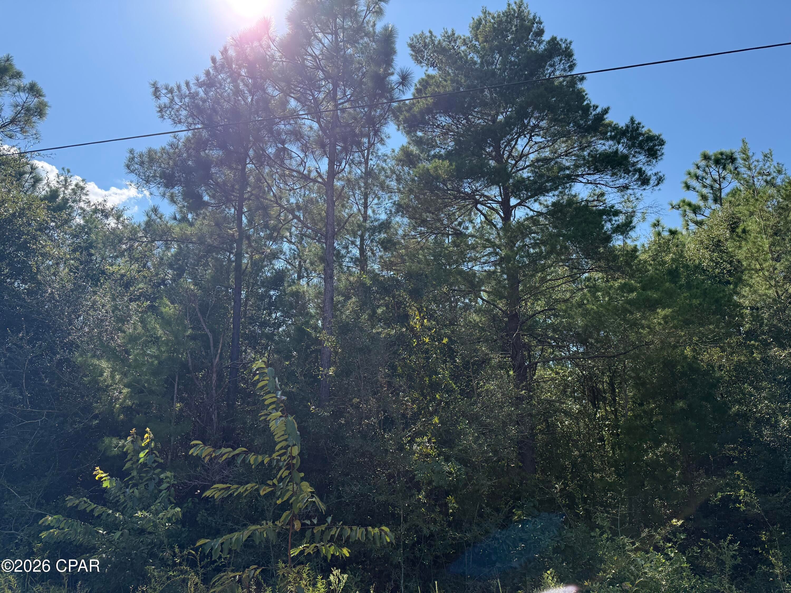 Buckhorn Creek - Land