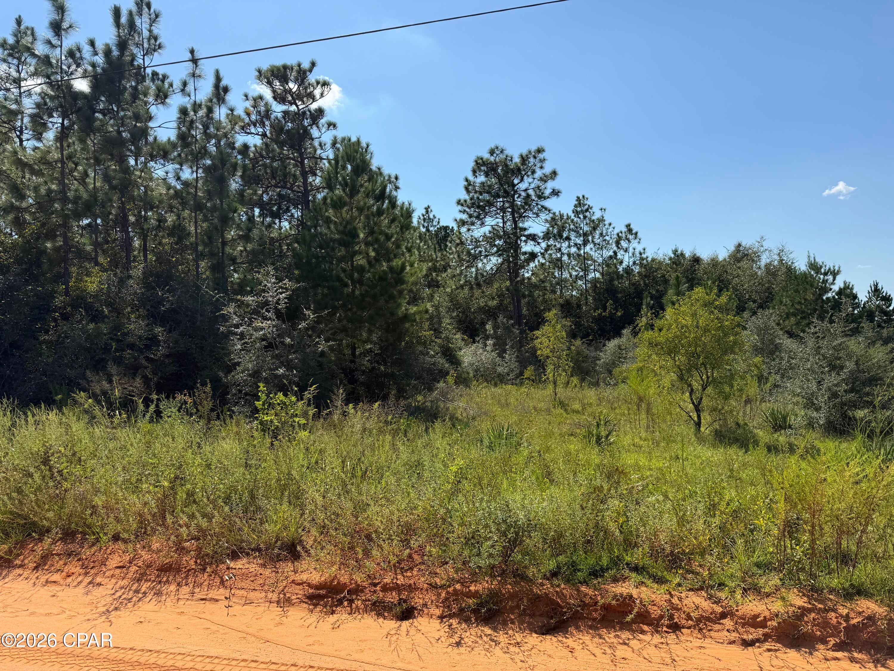 Buckhorn Creek - Land