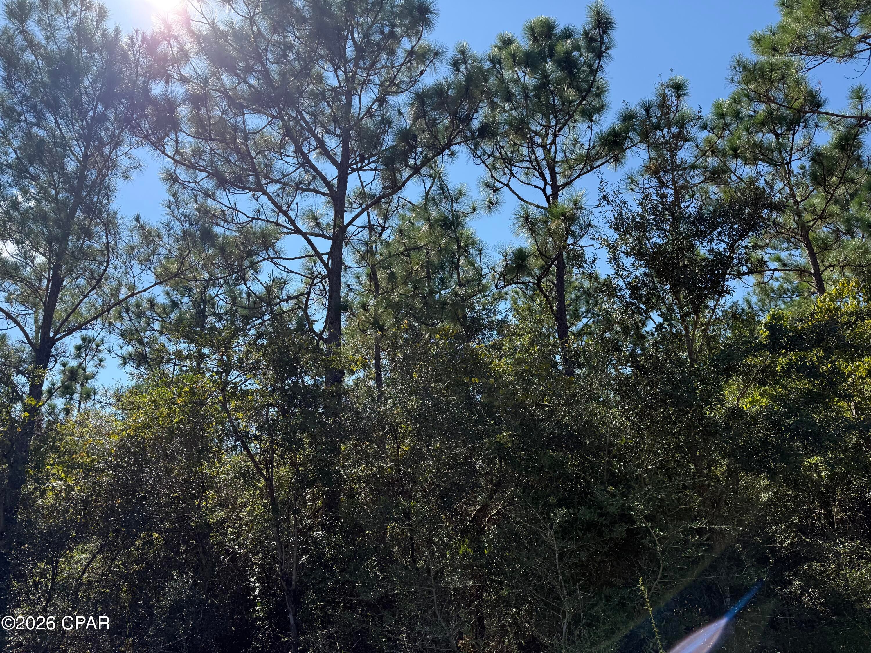 Buckhorn Creek - Land