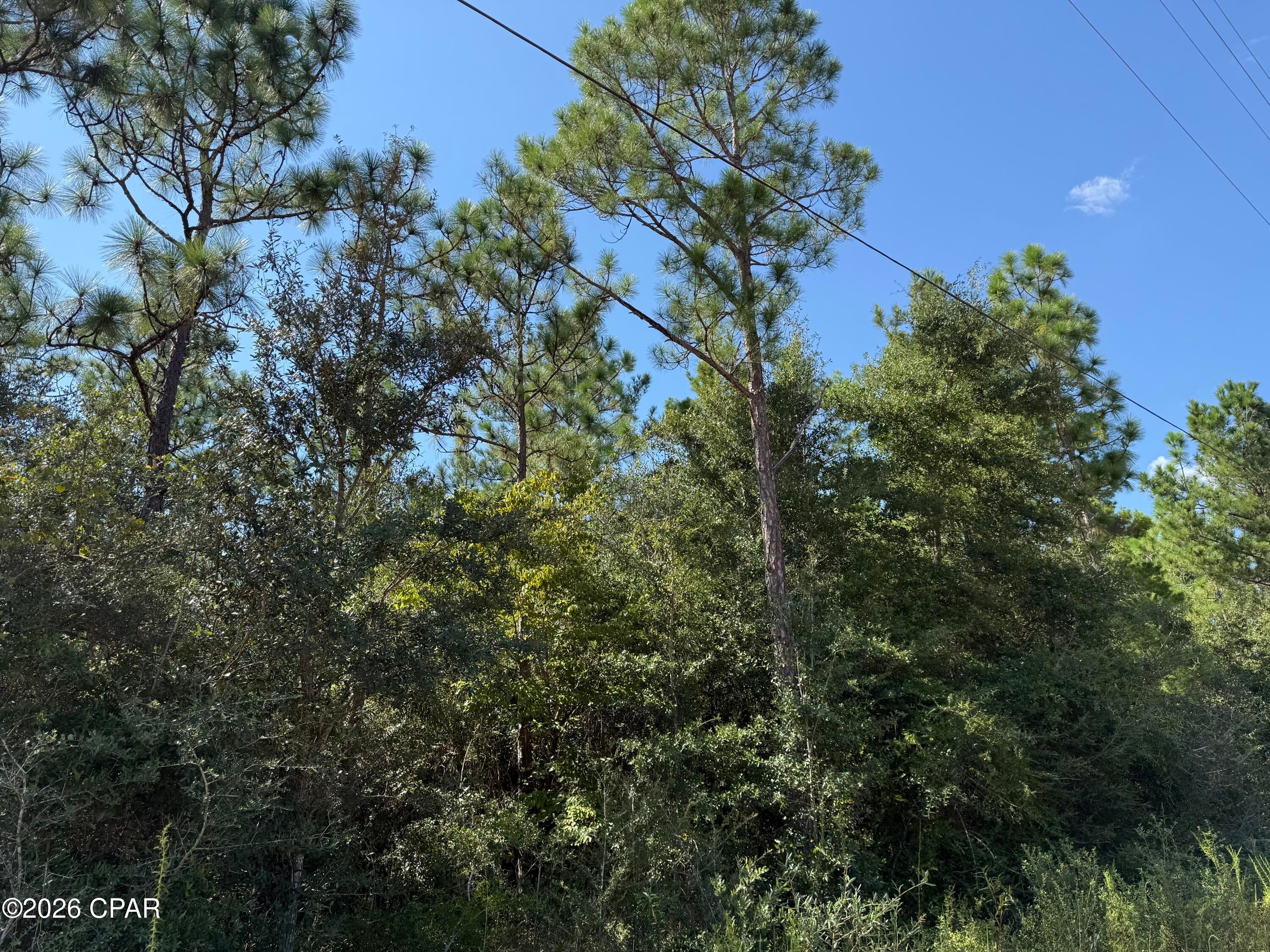 Buckhorn Creek - Land