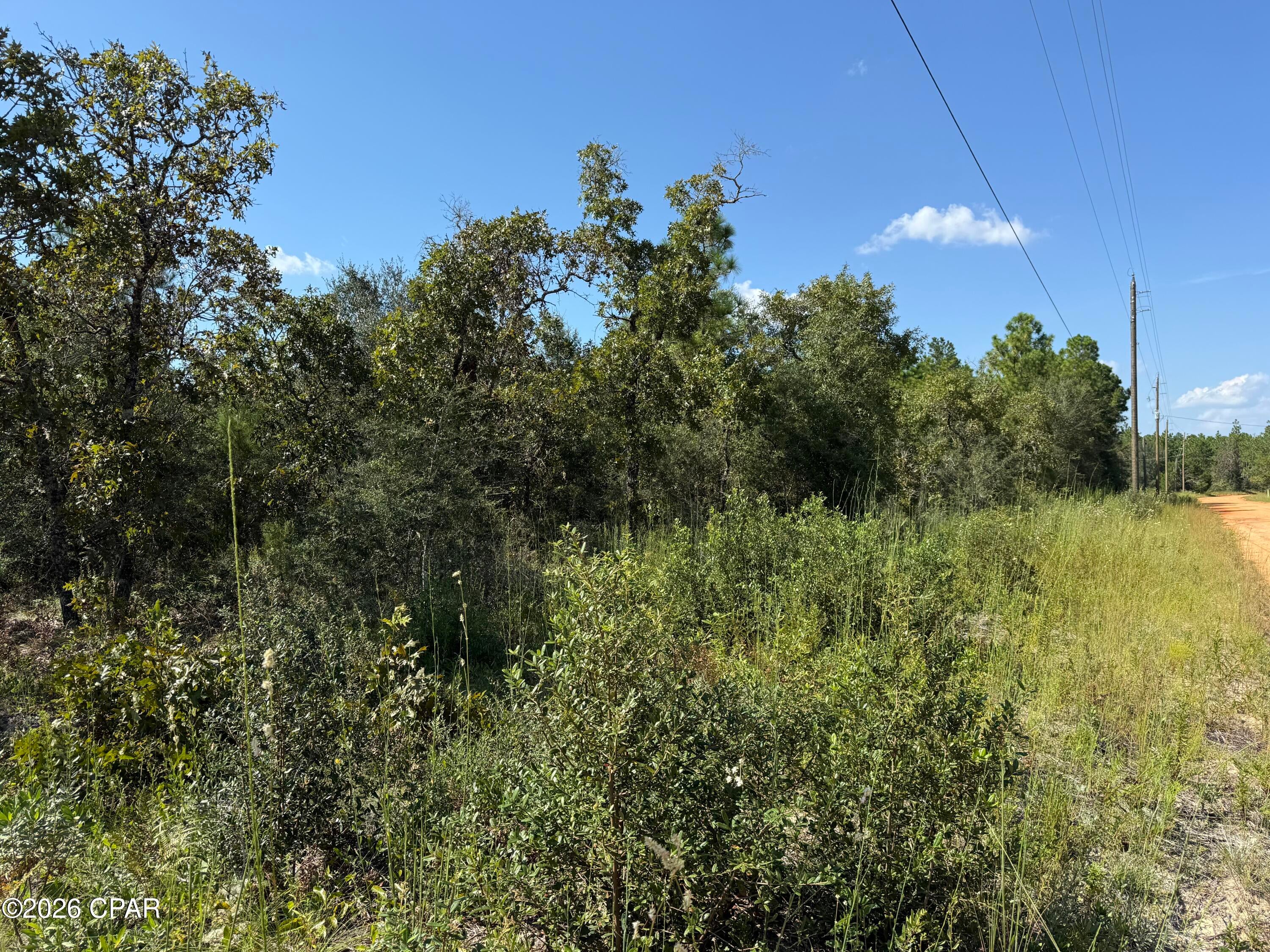 Buckhorn Creek - Land