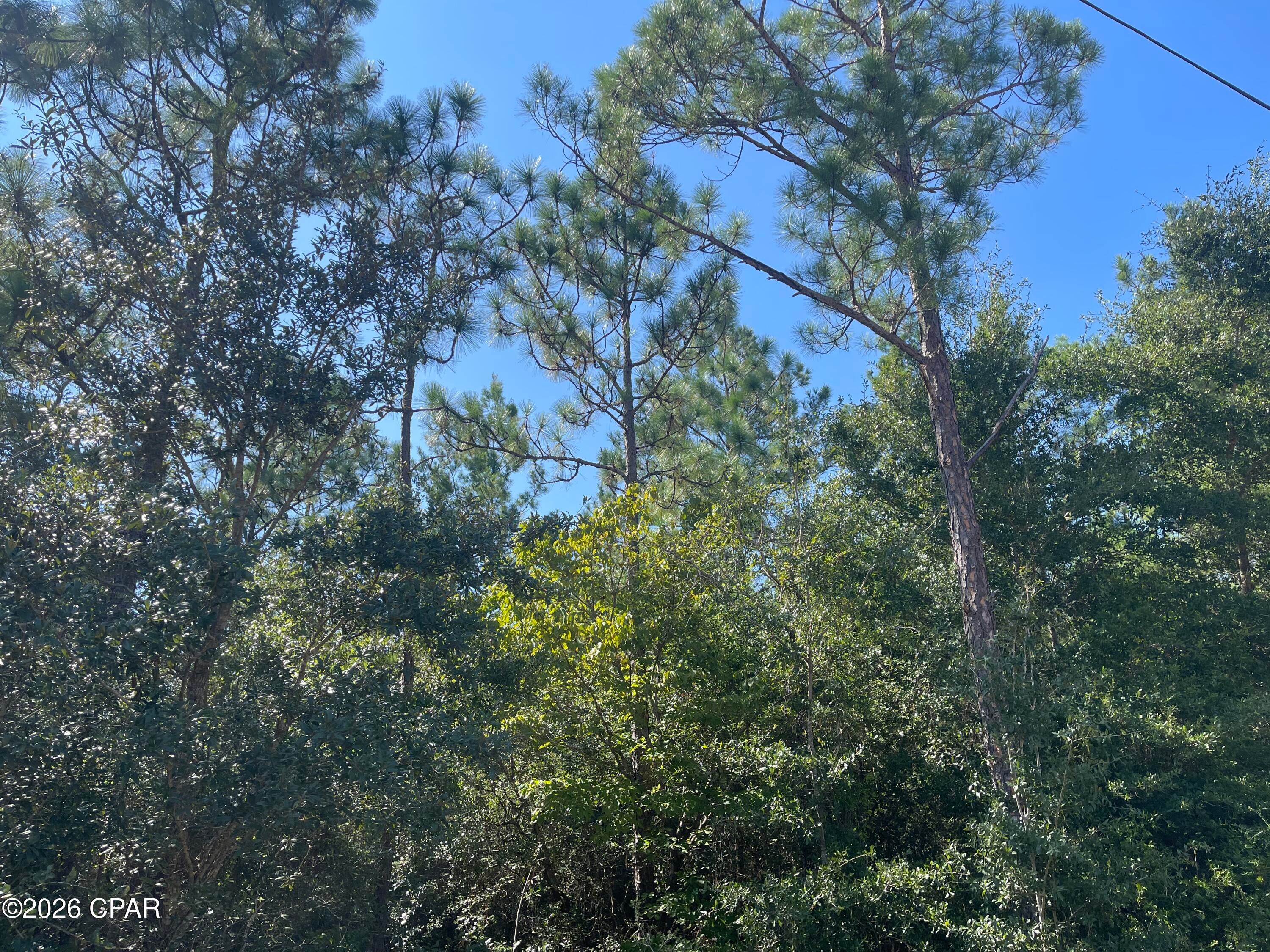 If you're looking for a little more room to spread out, this 7- +/ acre wooded property in Washington County, Florida offers a beautiful setting for a home, mini homestead, or country retreat. Located in Chipley, the property offers the peace and privacy of rural living while remaining within a short drive of Chipley and the Gulf Coast.
The property is high and dry, providing an excellent setting for a homesite with plenty of room to create the lifestyle you've been looking for. Whether you're envisioning a custom-built home, mobile home setup, small farm, garden, workshop, or simply want room to enjoy the outdoors, seven acres gives you plenty of possibilities.
Mature trees and natural vegetation create a peaceful backdrop and a sense of privacy. There is ample room for a home, barn, workshop, recreational areas, or a few animals. If you've been wanting to get out of town and have a little more breathing room, this property is worth a look.
The location is another strong feature. You're approximately 15 miles from Chipley and 35 miles from Panama City, giving you convenient access to shopping, restaurants, healthcare, and everyday necessities while still enjoying a quiet country setting. Panama City Beach is approximately 45 miles away, making it possible to enjoy the white-sand beaches and Gulf Coast lifestyle without living in the middle of the traffic and congestion.
Outdoor recreation is also close by. Sunny Hills Golf Club is approximately 4 miles away, while Boat Lake Recreation Area is approximately 6 miles away, offering opportunities for swimming, fishing, picnicking, and enjoying time outdoors. For those who enjoy being on the water, Holmes Creek and Cypress Spring are approximately 20 miles away. Known for their clear, spring-fed waters, these natural destinations offer opportunities for kayaking, canoeing, swimming, fishing, and enjoying some of the beautiful outdoor scenery that makes Northwest Florida special.
With seven acres, a peaceful wooded setting, and convenient access to both Chipley and the Gulf Coast, this property offers a nice balance of privacy, space, and location. Whether you're ready to build a home, create a small homestead, or simply own a piece of the Florida countryside, this is an opportunity to make the property your own. Call today for more information.
Key Features
• 7 Acres of Wooded Privacy
• High & Dry Homesite
• Peaceful and Private
• Room for a Home, Barn & Workshop
• Mini Homestead or Small Farm Potential
• Approximately 15 Miles to Chipley
• Approximately 35 Miles to Panama City
• Approximately 4 Miles to Sunny Hills Golf Club
• Close to Boat Lake, Falling Waters State Park & Holmes Creek