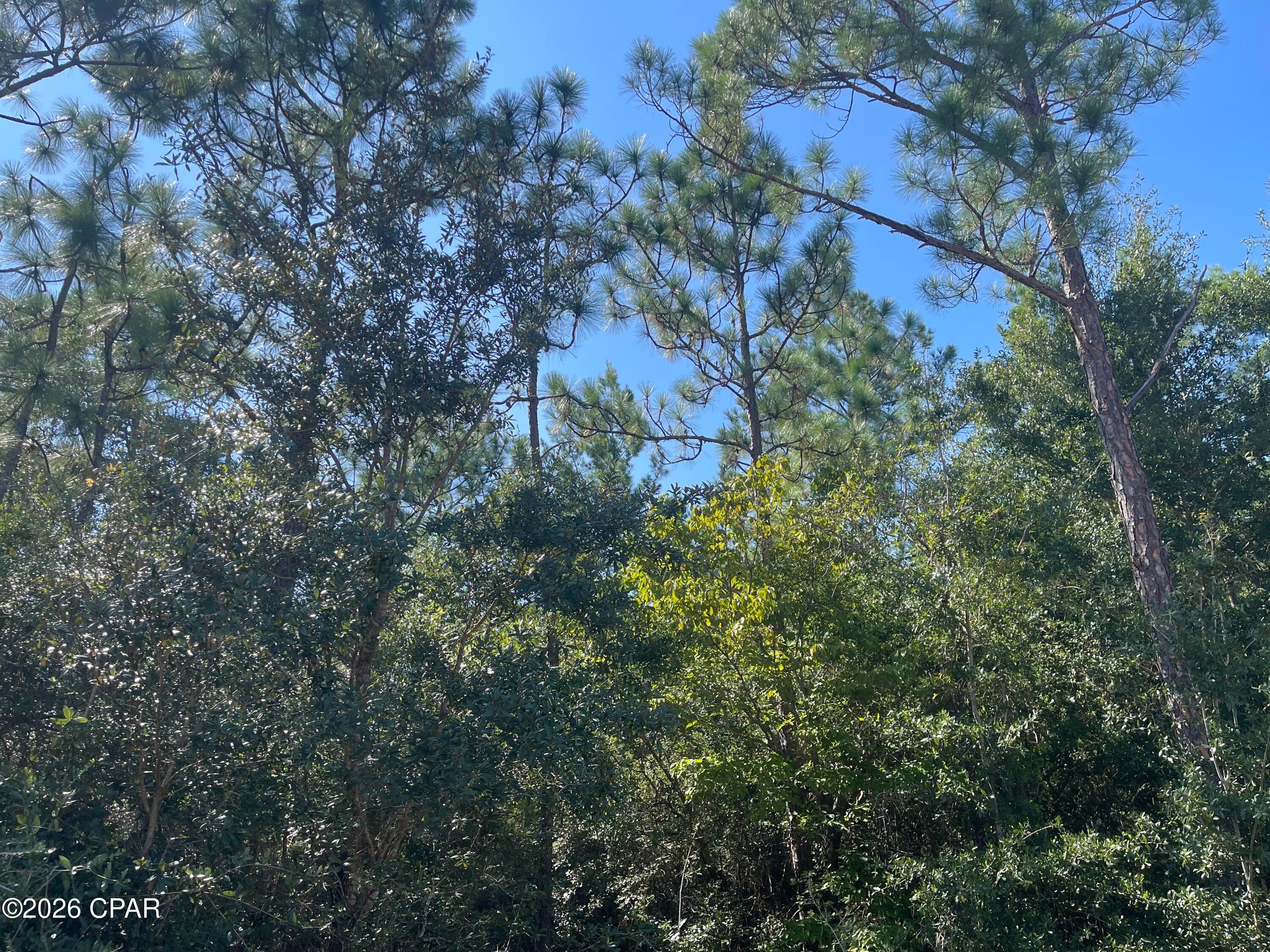 Buckhorn Creek - Land