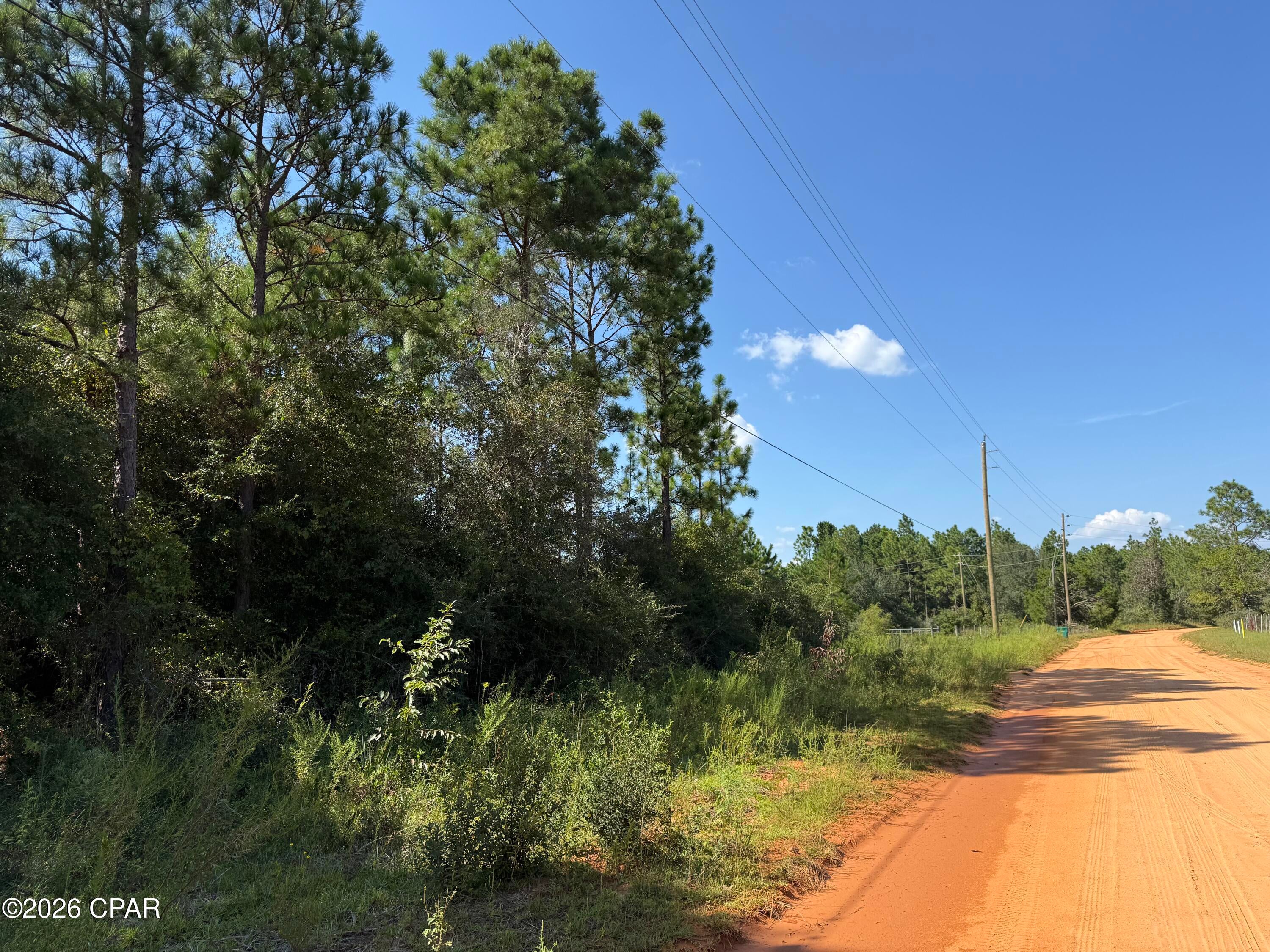 Buckhorn Creek - Land