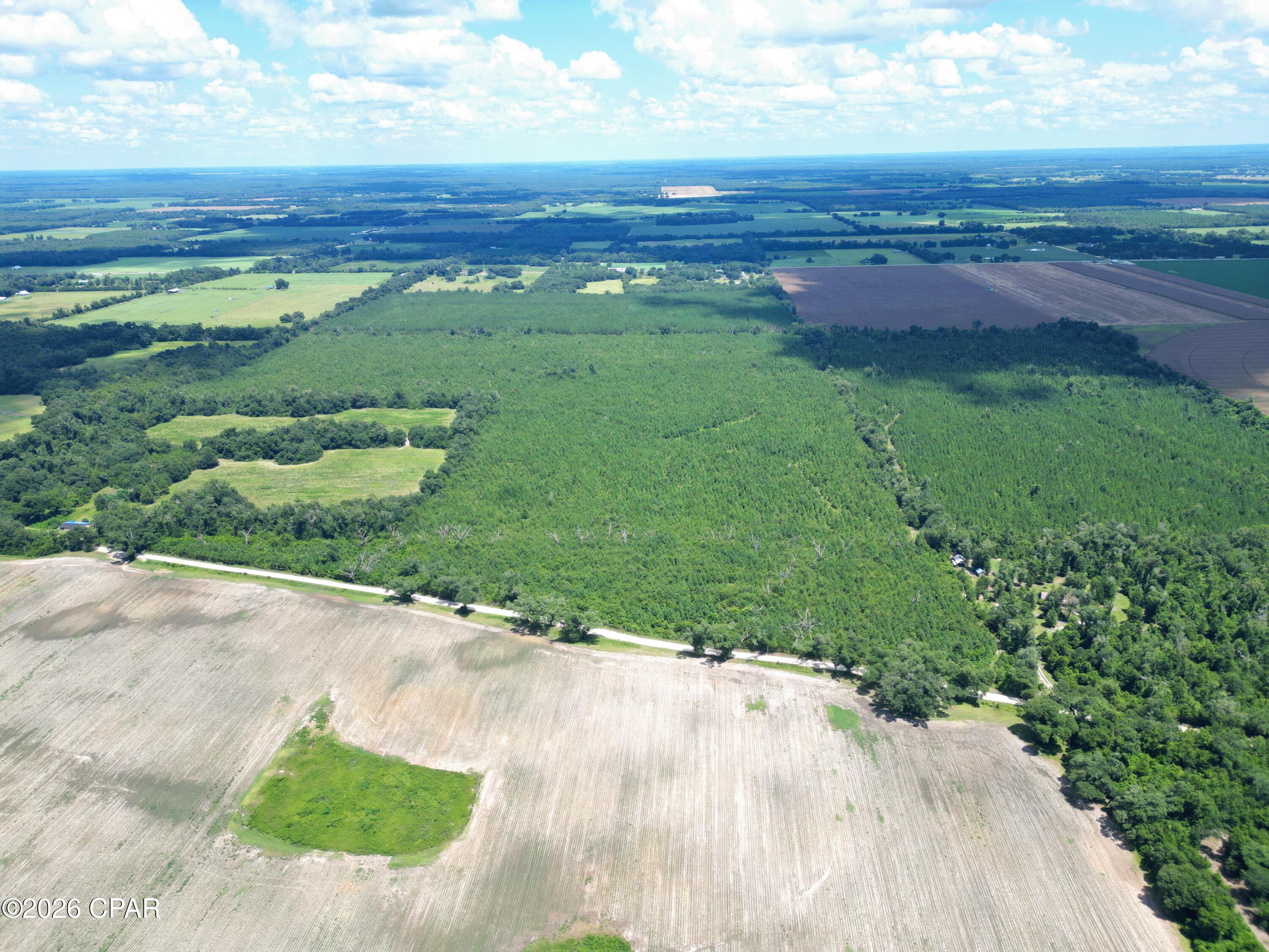 Discover 133 acres of productive timberland and prime recreational habitat, offering an exceptional combination of investment potential, accessibility, and outdoor enjoyment.

The property features a thriving stand of 6-year-old Elite Loblolly pine, a fast-growing timber variety positioned for continued growth and future income potential. Surrounding agricultural fields provide a natural, protein-rich food source for local wildlife, helping support an abundant population of healthy deer, mature heavy-bodied bucks, and fertile does.

Direct, gated access from Sylvania Plantation Road provides privacy and convenience. A network of perimeter and interior roads makes it easy to navigate the property, manage the timber, maintain food plots, and retrieve game.

Whether you envision a long-term timber investment, private hunting retreat, recreational getaway, or legacy landholding, this versatile acreage offers the space and natural resources to bring that vision to life. Conveniently located approximately 15 minutes from the Florida-Alabama state line and about one hour from both Panama City and Tallahassee.