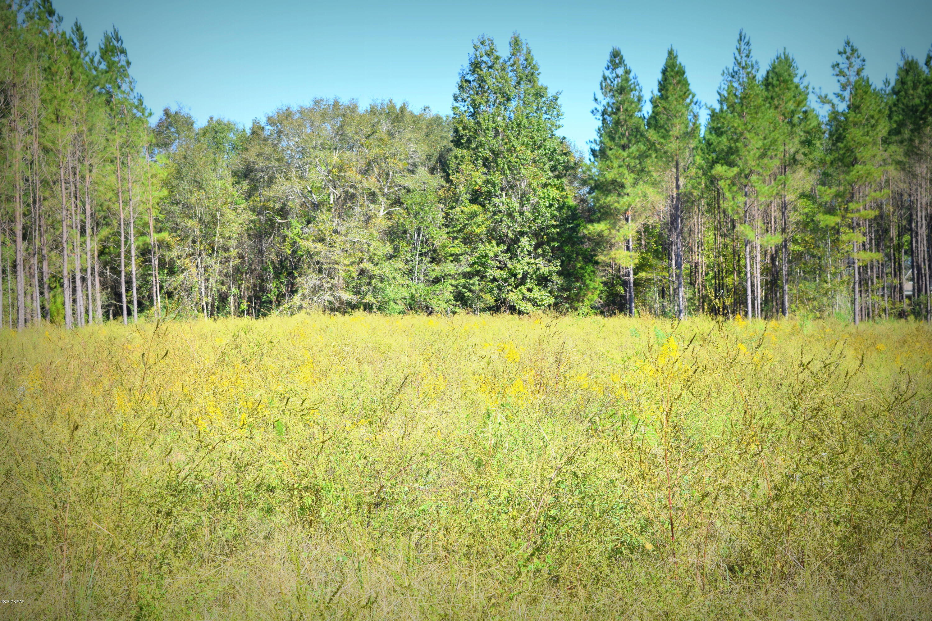 Bordered by matured pines and located off Clayton Rd this 5 acre tract is ready for your dream home. Property is located just east of Hwy 77 and minutes from Chipley and Interstate 10.