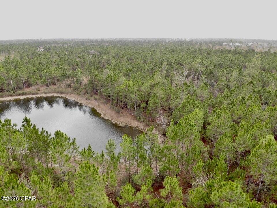 This property is a 1.99 acre parcel located in the secluded Wetappo Preserve subdivision. This gated community offers privacy and natural surroundings, with the lot backing up to a peaceful pond—perfect for enjoying serene views and local wildlife. Residents enjoy access to a community clubhouse, boat ramp, and scenic walking trails. The subdivision borders Wetappo creek, allowing for plenty of fishing and boating activities. The neighborhood features underground utilities, streetlights, and paved roads throughout. Ideally located just 10 minutes from the sands of Mexico Beach, one of the few remaining untouched beaches, and only 15 minutes to the quaint coastal shops, dining, and marina of Port St. Joe. An excellent opportunity to build your dream home while enjoying both coastal convenience and a nature-filled setting.