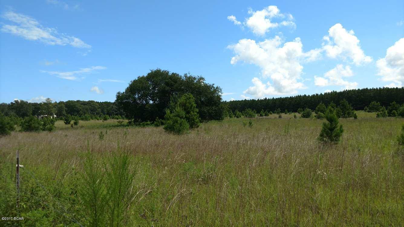 Ready to build you dream home!!!  This is perfect!  Wonderful feel of country living, but located near a major road.  This property is beautiful and the photos don't do it justice!  Perfect for Horses.... pasture with some fencing 

additional 10 acres available