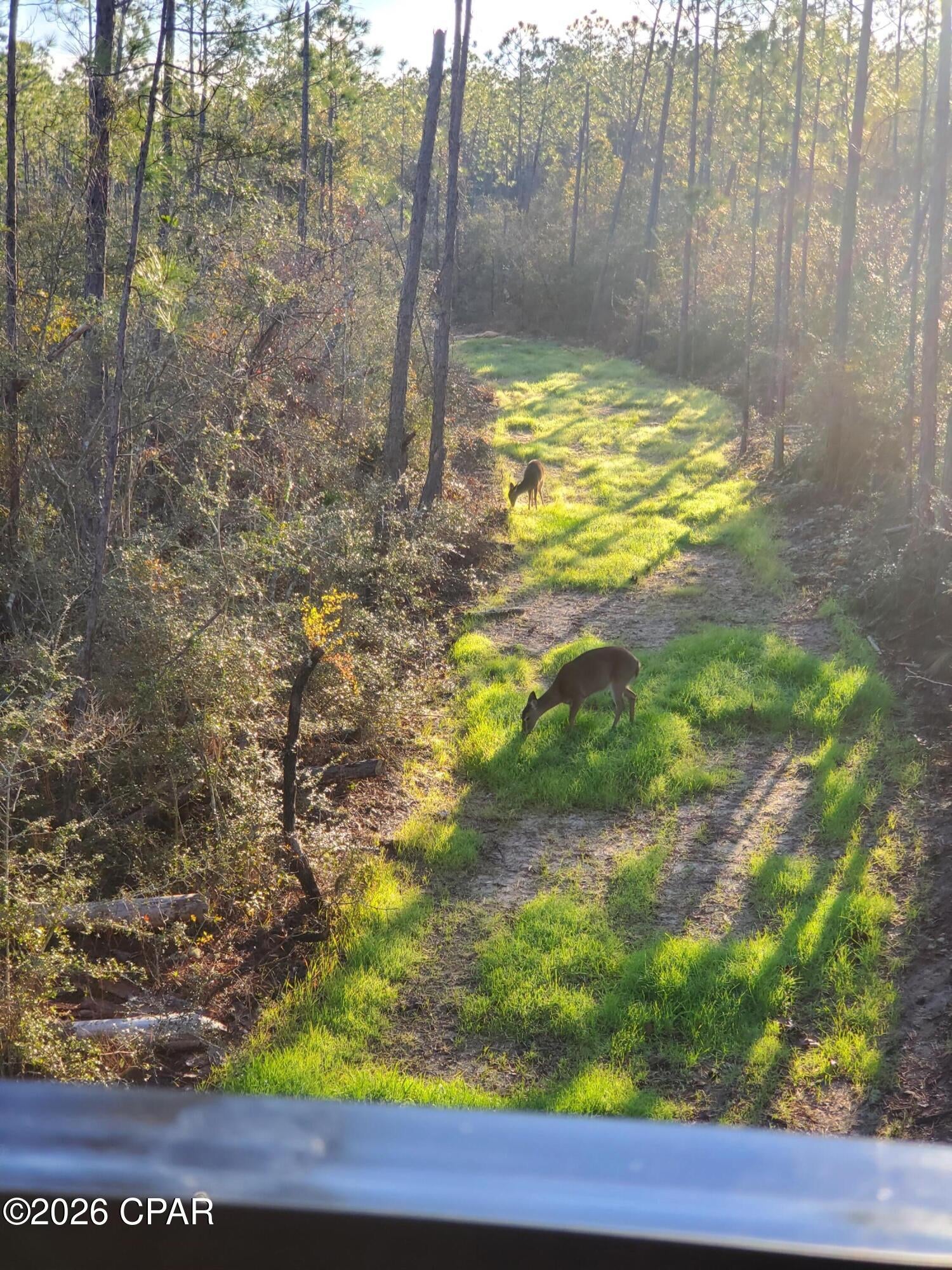 [No Recorded Subdiv] - Land