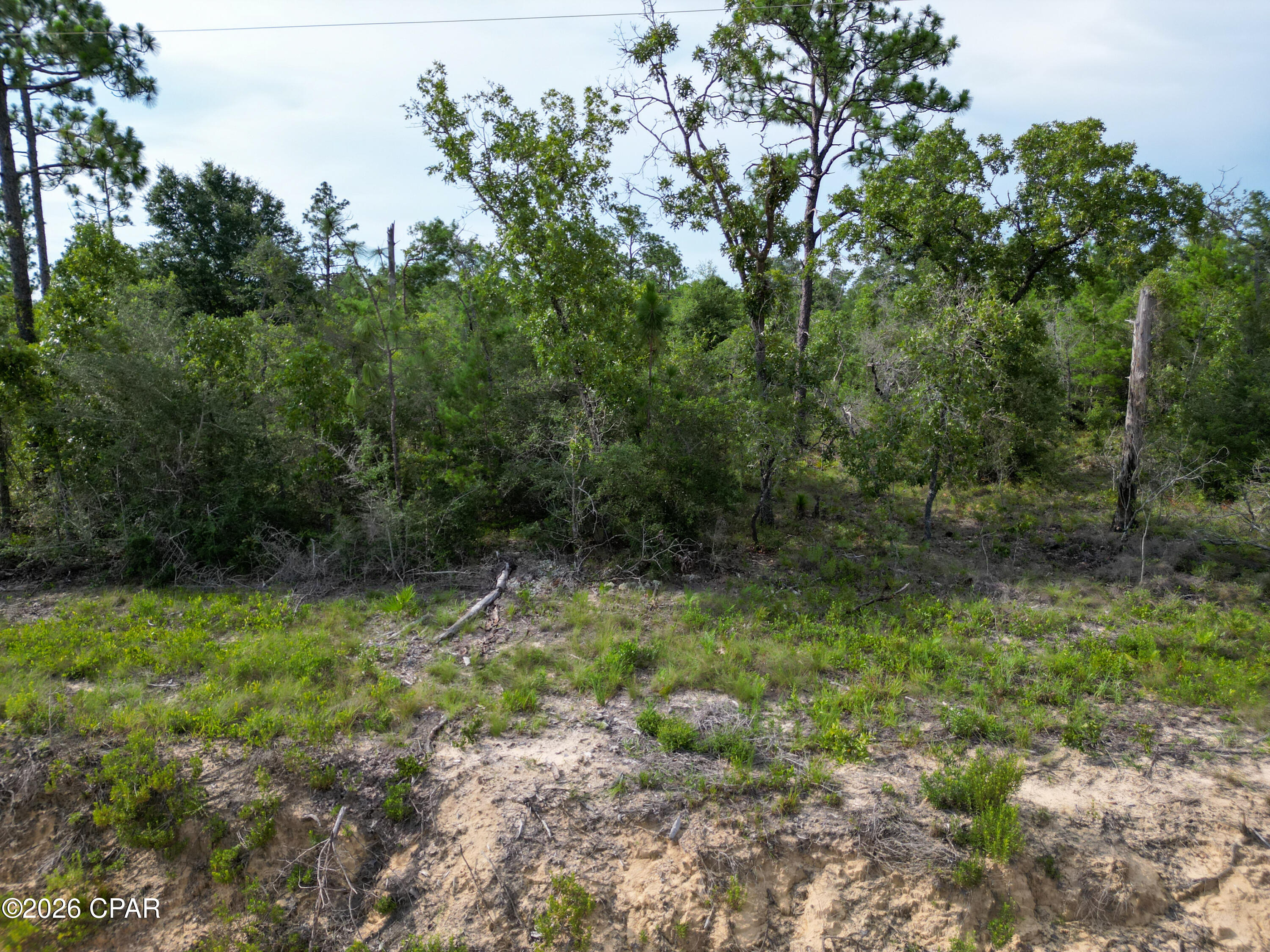 5 Beautiful Wooded Acres with 330 Feet of Road Frontage

Discover the perfect blend of privacy and potential with this beautiful 5-acre wooded property featuring approximately 330 feet of road frontage. Whether you're dreaming of building your forever home, creating a peaceful country retreat, or investing in land for the future, this property offers endless possibilities.

Enjoy the beauty of mature trees, abundant wildlife, and the tranquility of country living while still being conveniently located near nearby amenities. With generous road frontage, you'll have flexibility for your homesite, driveway, and future plans.

If you've been searching for a place to escape the hustle and bustle and make your vision a reality, this is your opportunity. Bring your house plans and start building the life you've always imagined!