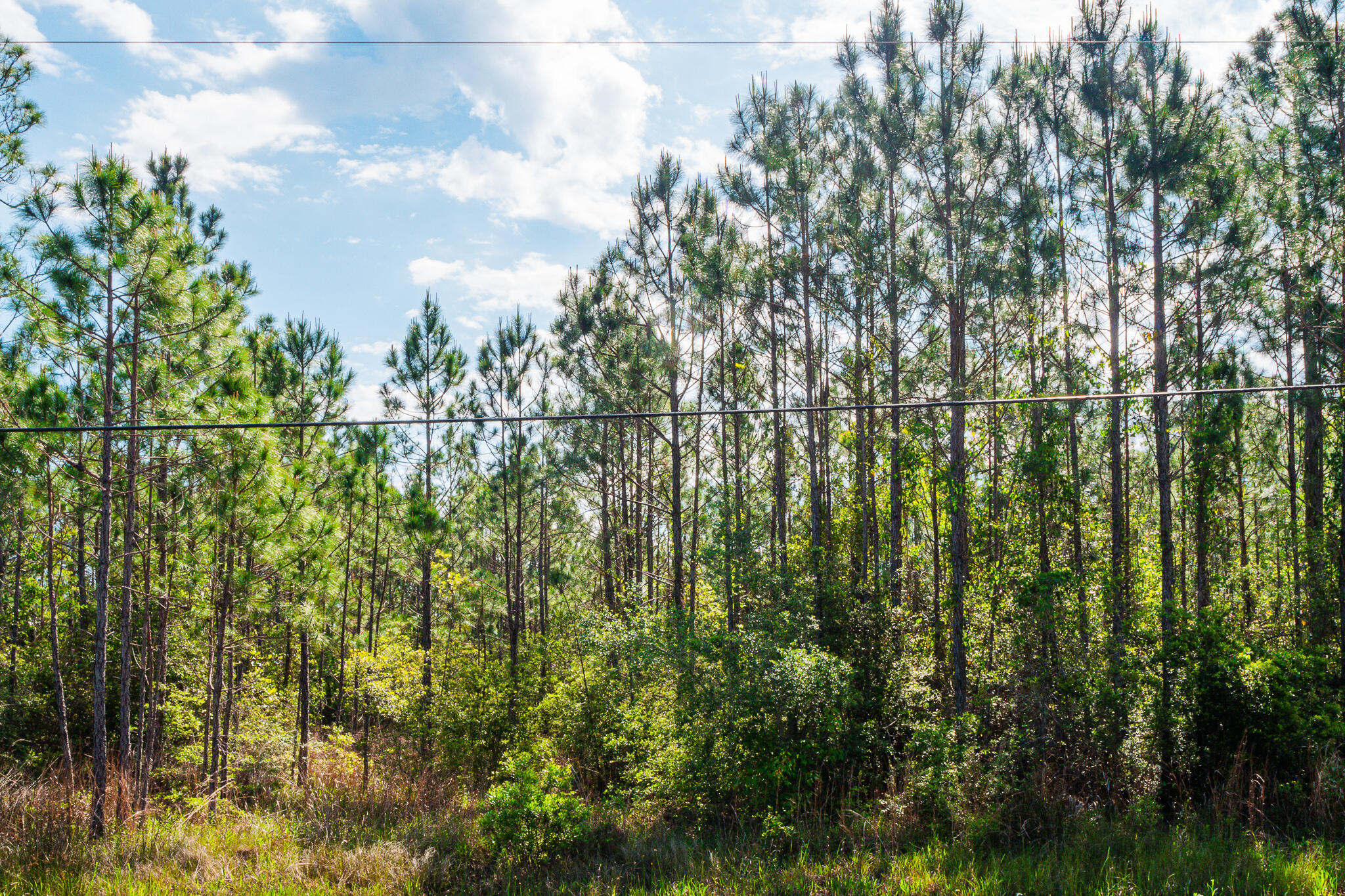SANTA ROSA PLANTATION - Land