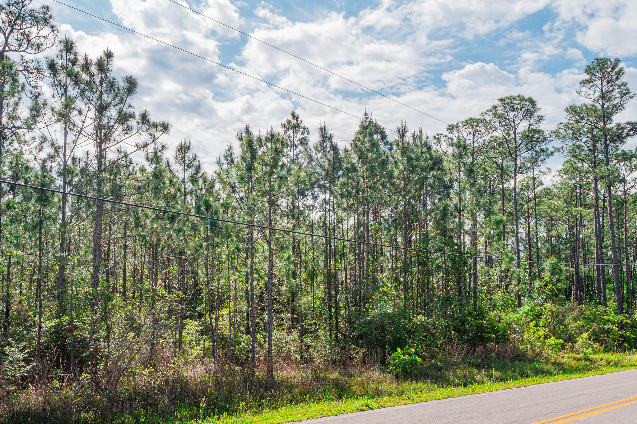 SANTA ROSA PLANTATION - Land