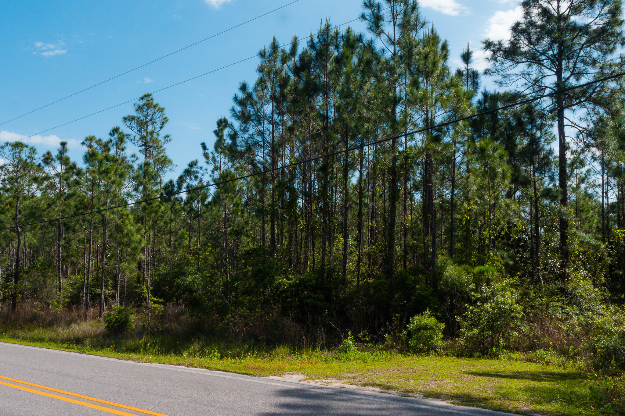 SANTA ROSA PLANTATION - Land