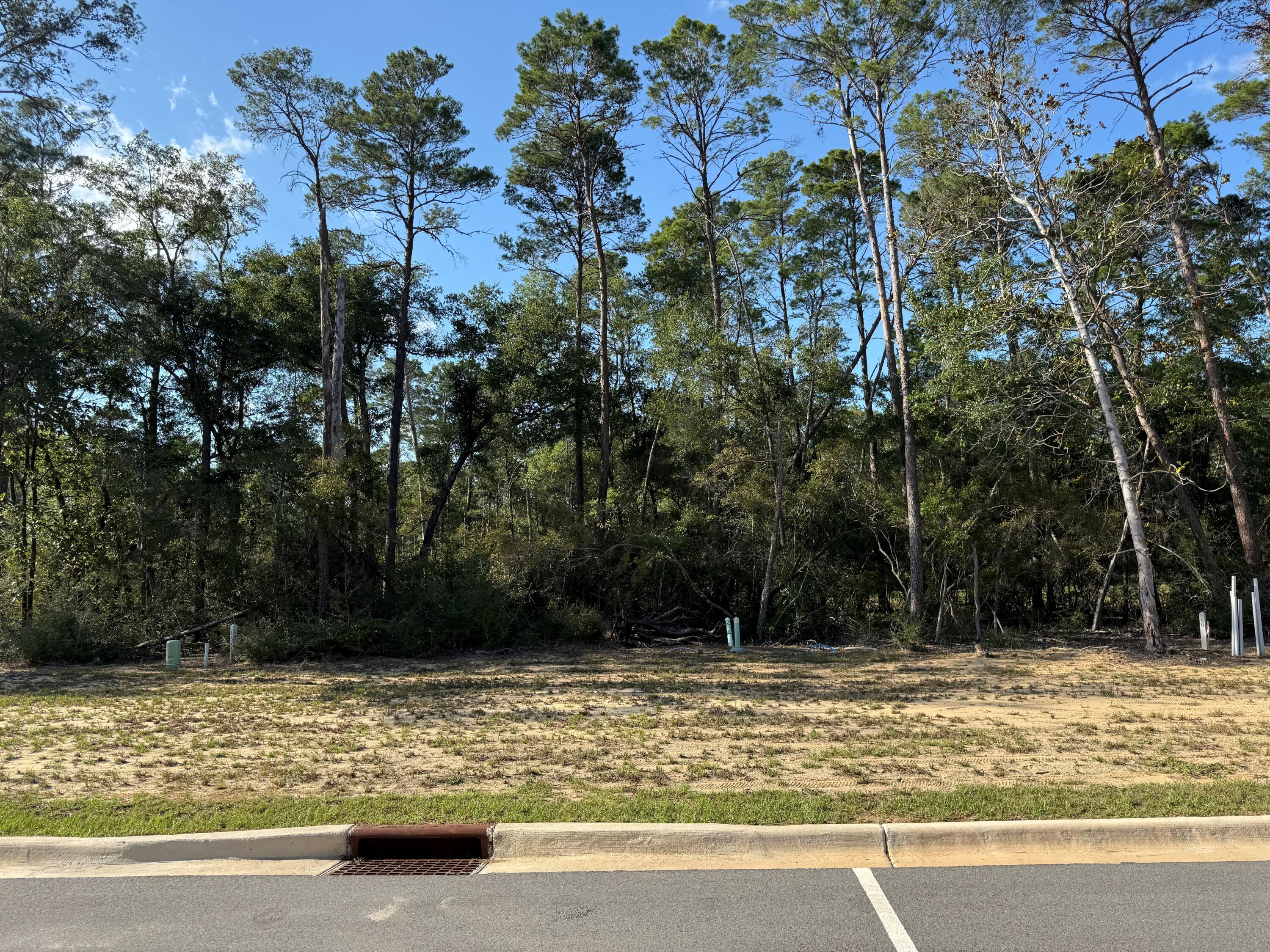 Here's your chance to build your home in Ph 11 Deer Moss Creek! Vacant lot for sale on an interior lot. More lots maybe available.  Deer Moss Creek is a 1,100 acre, master planned, mixed use community in Niceville, Florida. Community plans include nature trails, bike lanes, parks, pools, office and retail space to for lease. Sidewalks are 5' wide and home plans must be approved by the Town Architect.