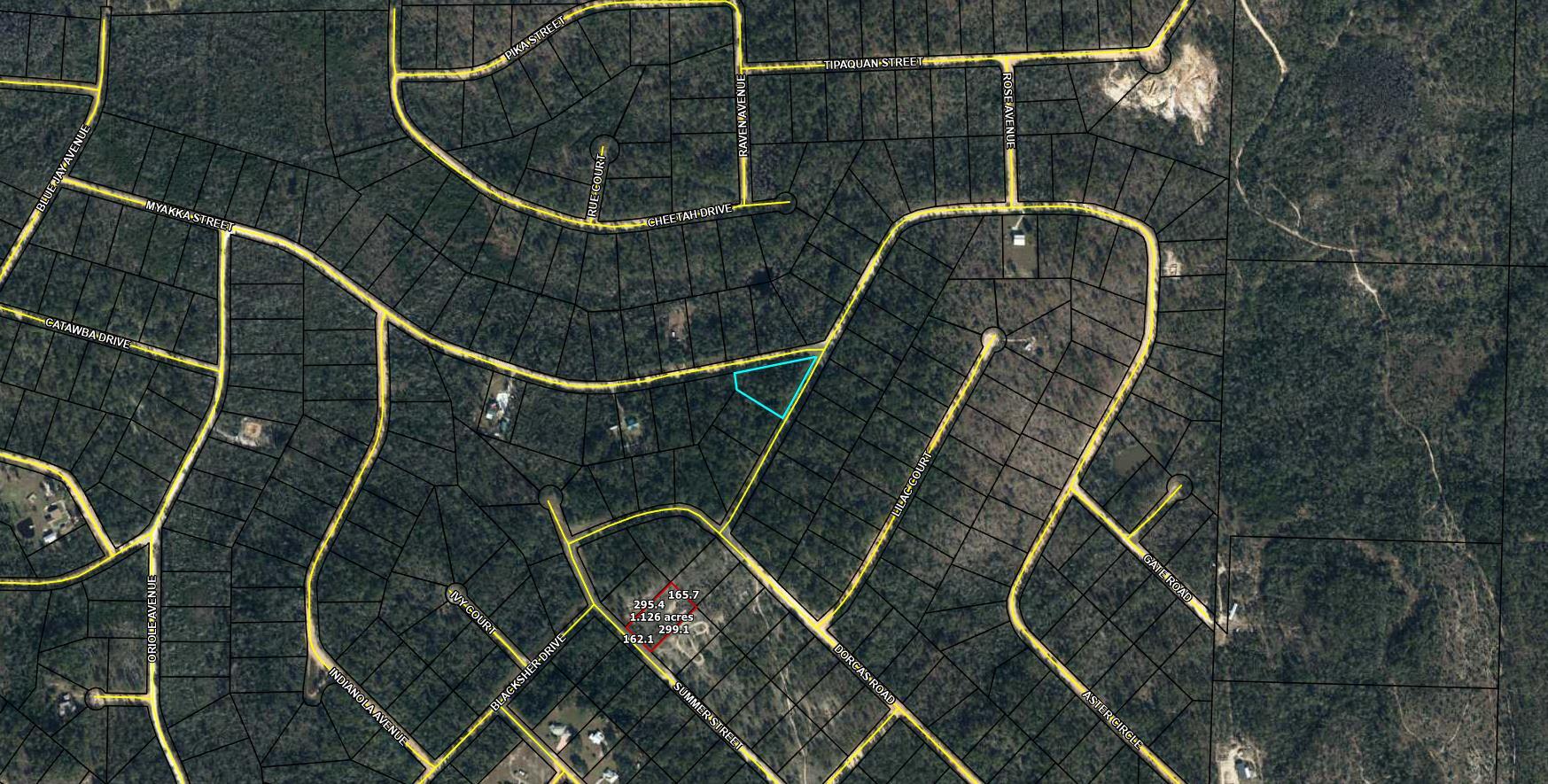 Large 1.256 acre lot in Compass Lake in the Hills. There is a voluntary HOA of $135 a year, but what a great price for all the amenities that are included such as: access to 2 lakes for fishing, tennis, horse stables / riding, rental cabins, RV spots, boat rentals, clubhouse, and a golf range. Being an all-sports lake, enjoy water skiing, tubing, jet skiing, boating, sailing, kayaking & swimming. No need to worry about lunch while out on the water when you have a boat accessible shoreline restaurant. This location is great for someone who enjoys nature and a short drive to the beach since it is located half way between Panama City And Dothan. The area is rich in historical significance, with many restored antebellum plantation homes open for tours or as bed-and-breakfast