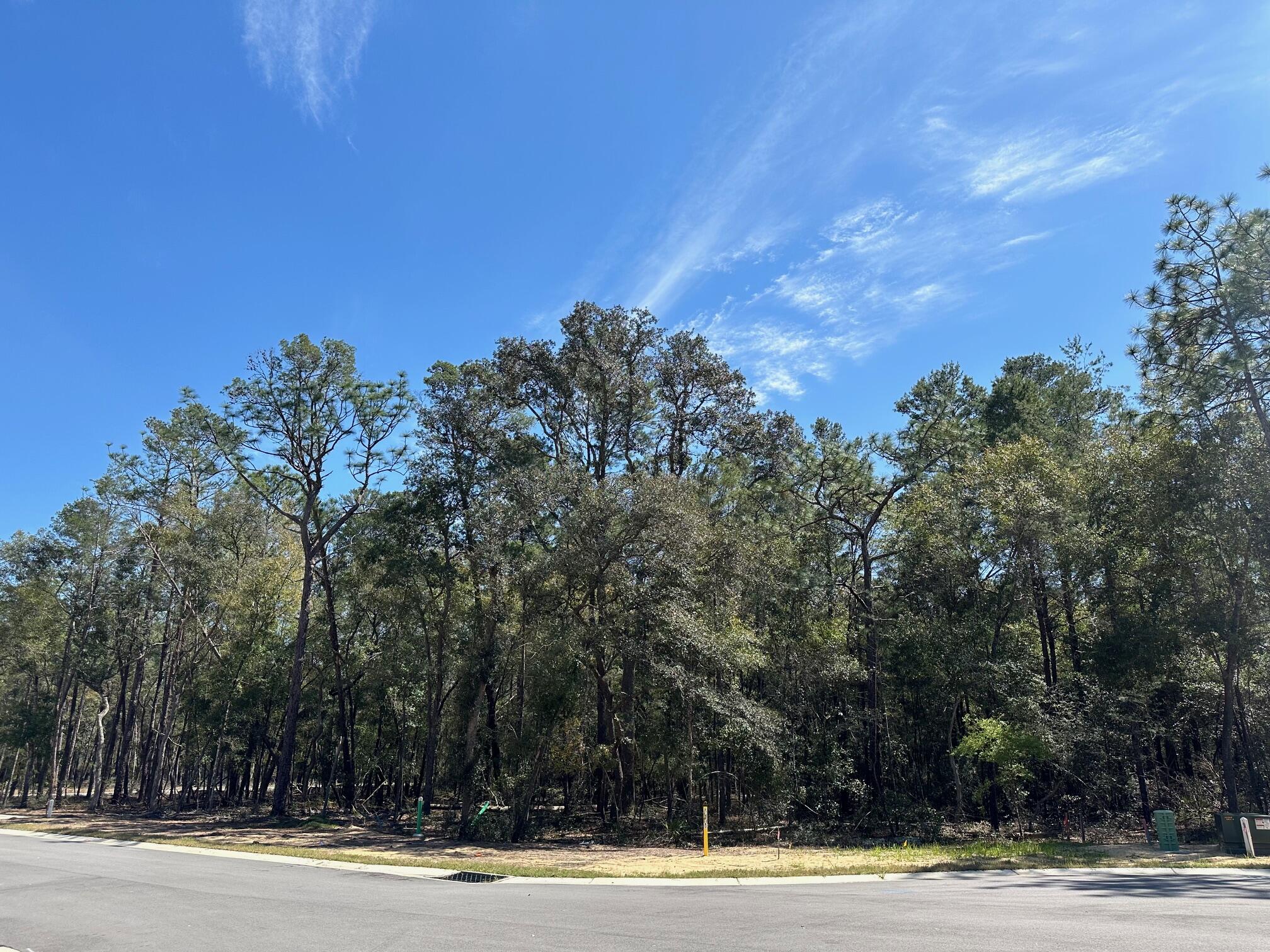 DEER MOSS CREEK - Land