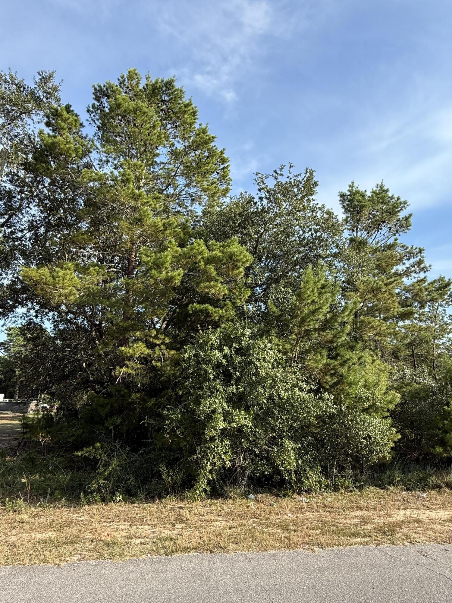 The perfect canvas for your dream home! This beautiful vacant lot offers a high and dry, Flood Zone X, ideal for building with confidence and peace of mind. Imagine your future home nestled here, with plenty of space to design the lifestyle you've been dreaming of. The rear of the property features a powerline easement, creating a buffer of open space behind you—adding a sense of privacy and extra breathing room. Conveniently located yet tucked away enough to enjoy some tranquility, this lot is ready for your vision to come to life.