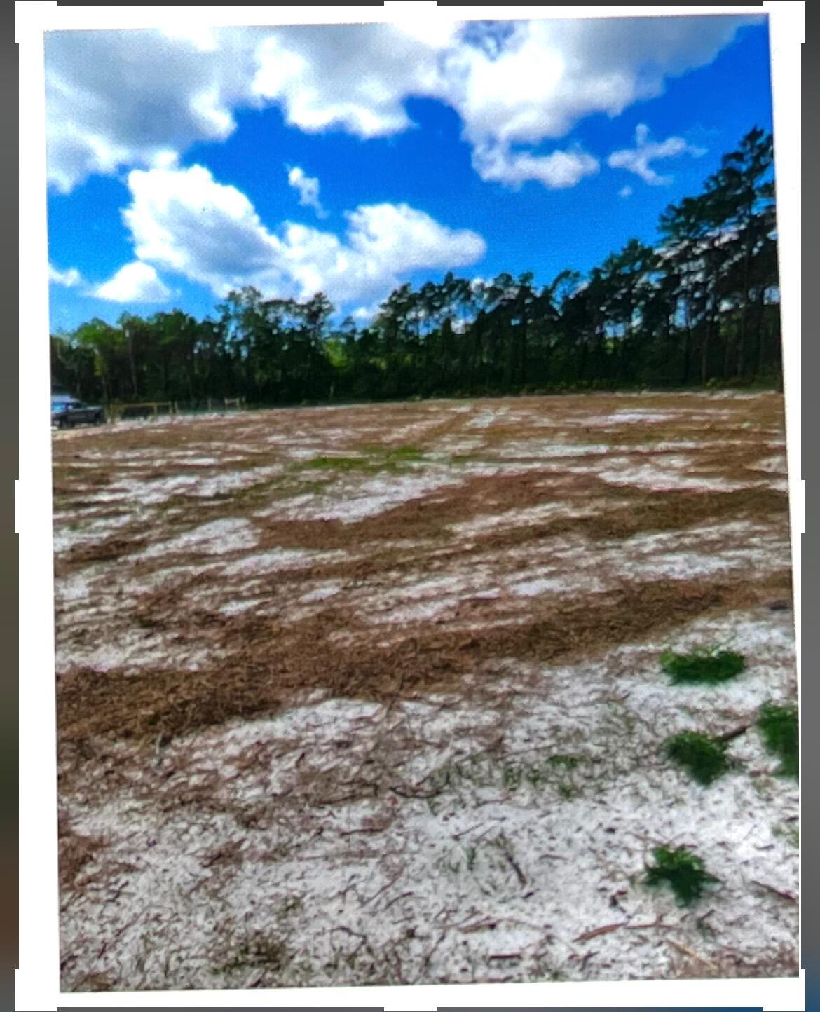 Destiny's Subdivision - Carrabelle - Land