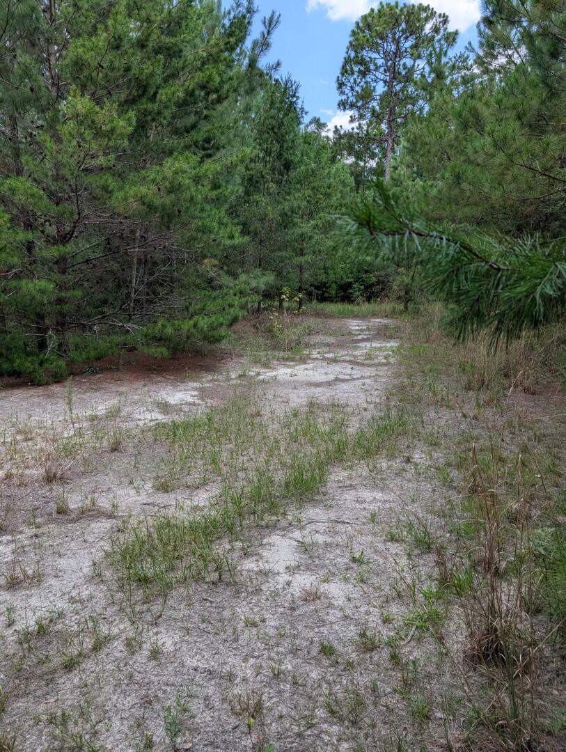 Need some elbow room in Freeport? Well here is your chance, offering for sale 1.92 acres. Just 13 miles to the beautiful Gulf of America. Tucked behind mature trees you will find a large pond, and level land that will make a lovely setting for your dream home. Public water is available, electric is on site, septic needed. Flood zone X.