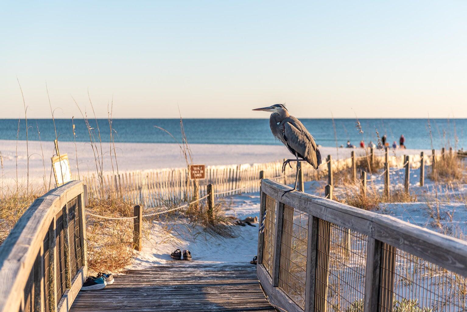 WaterSound West Beach - Residential
