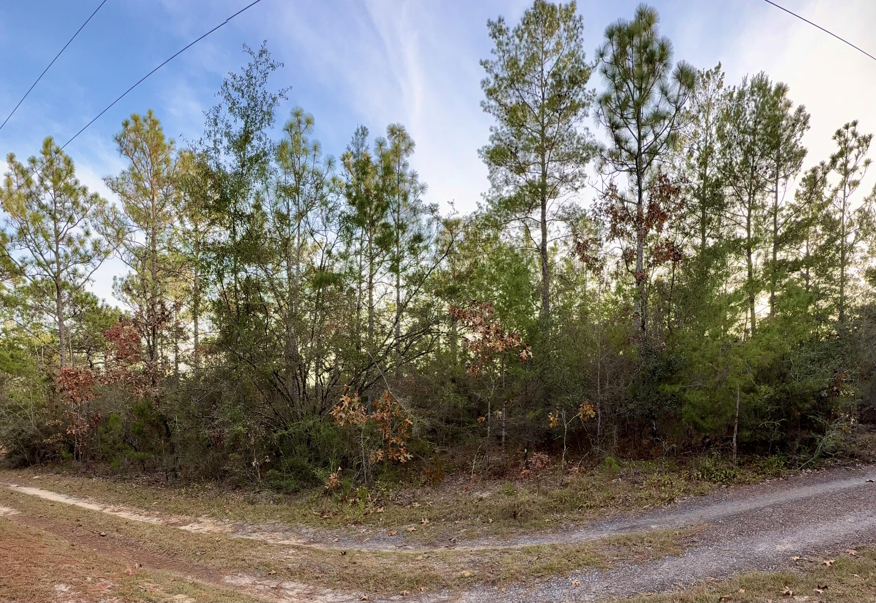 Unique opportunity!!! Located in the natural setting of Oakwood Hills within the fast-growing Mossy Head community of Northwest Florida, this versatile .25-acre homesite offers excellent flexibility. The beautifully wooded lot is in an area seeing active development by multiple builders. Zoned Rural Residential / Low Density, the property allows single-family homes, manufactured or mobile homes, and modular construction. Located in Flood Zone X per county records. Just 1.4 miles to US-90, with convenient access to I-10, making this an ideal location for commuting in any direction, with most major employers within an approximate 30-45 minute drive. Plus, you're approximately 35 miles from the beautiful turquoise water & white-sand beaches of Florida's famous Emerald Gulf Coast, including 30A and the majestic Crab Island. Buyer needs to verify building codes, zoning regulations, wetlands and flood
