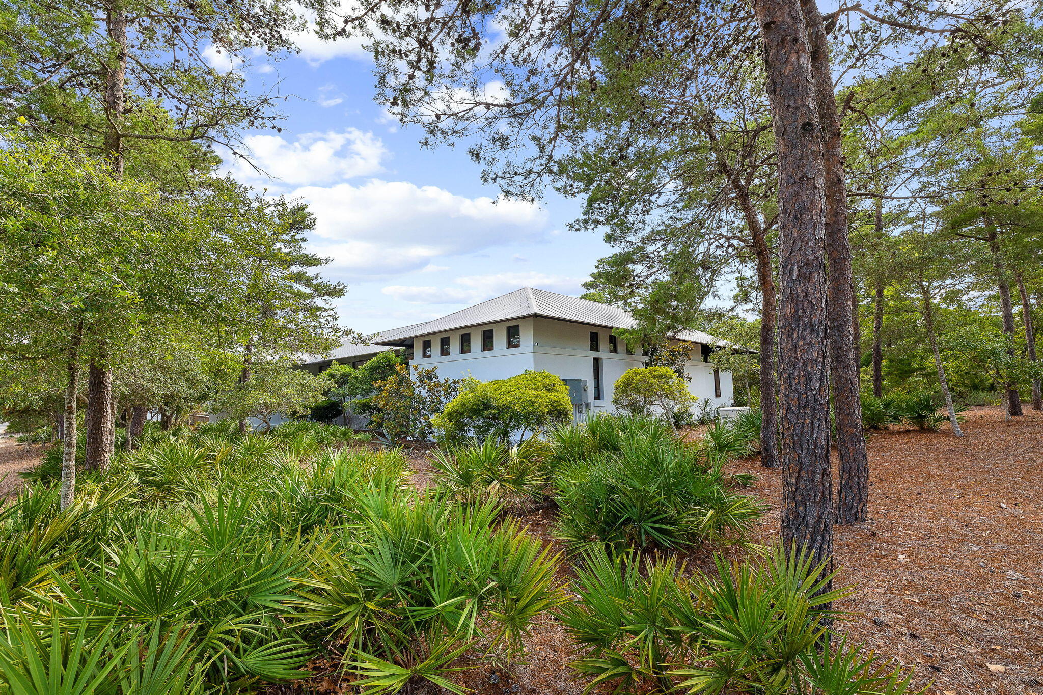 PINES OF BLUE MOUNTAIN - Residential
