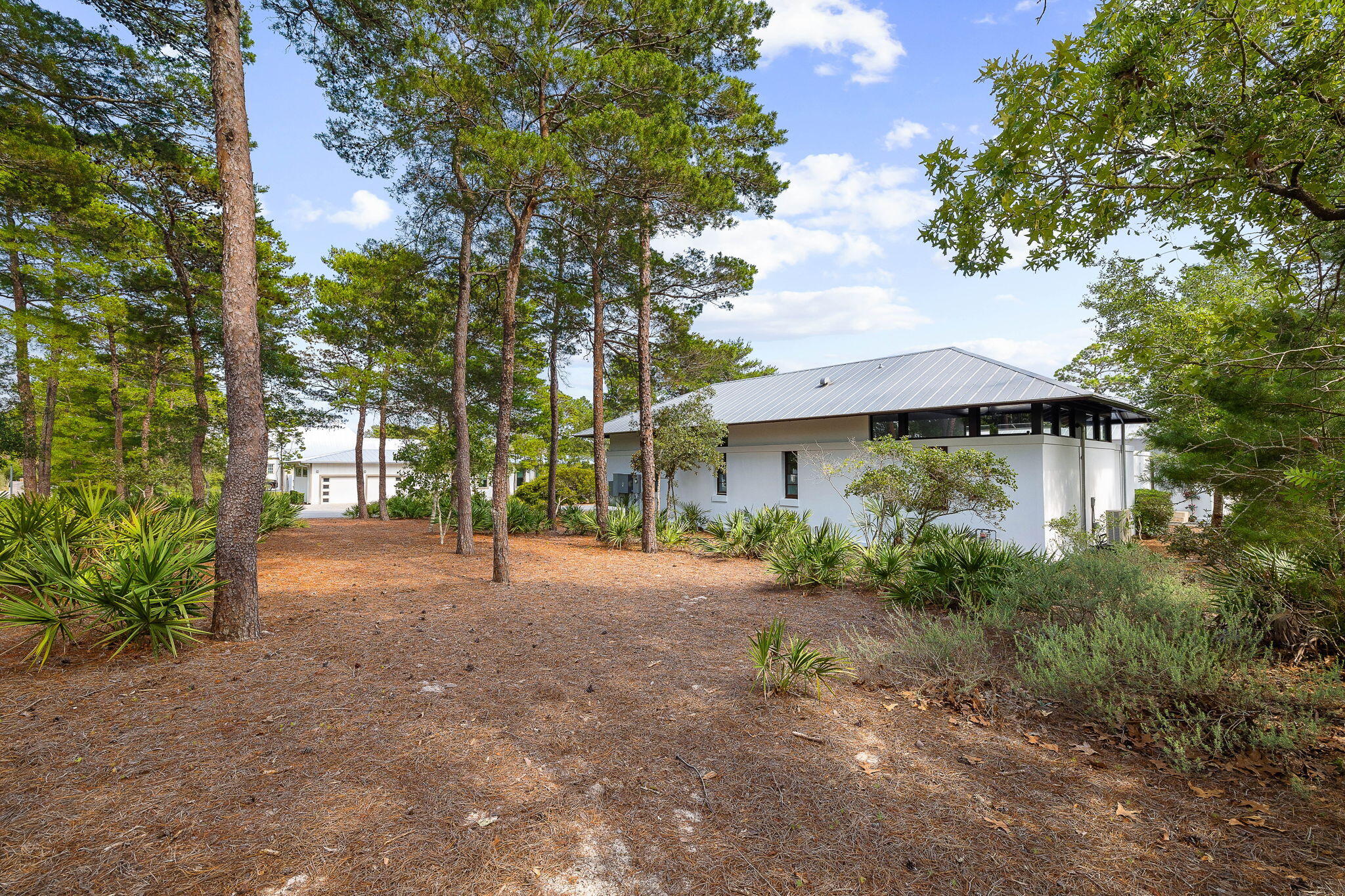 PINES OF BLUE MOUNTAIN - Residential