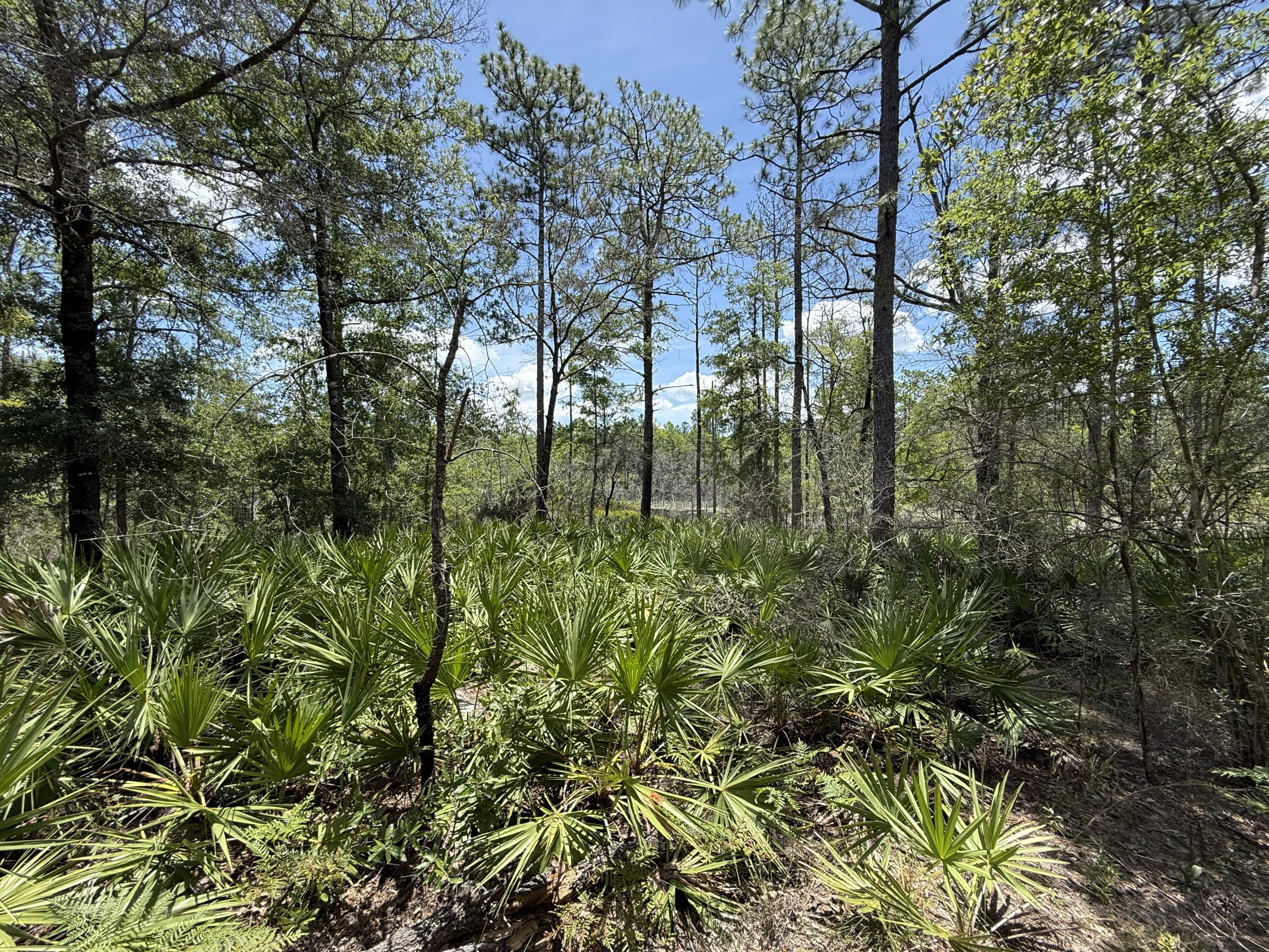 Oakwood Hills Unit I - Land