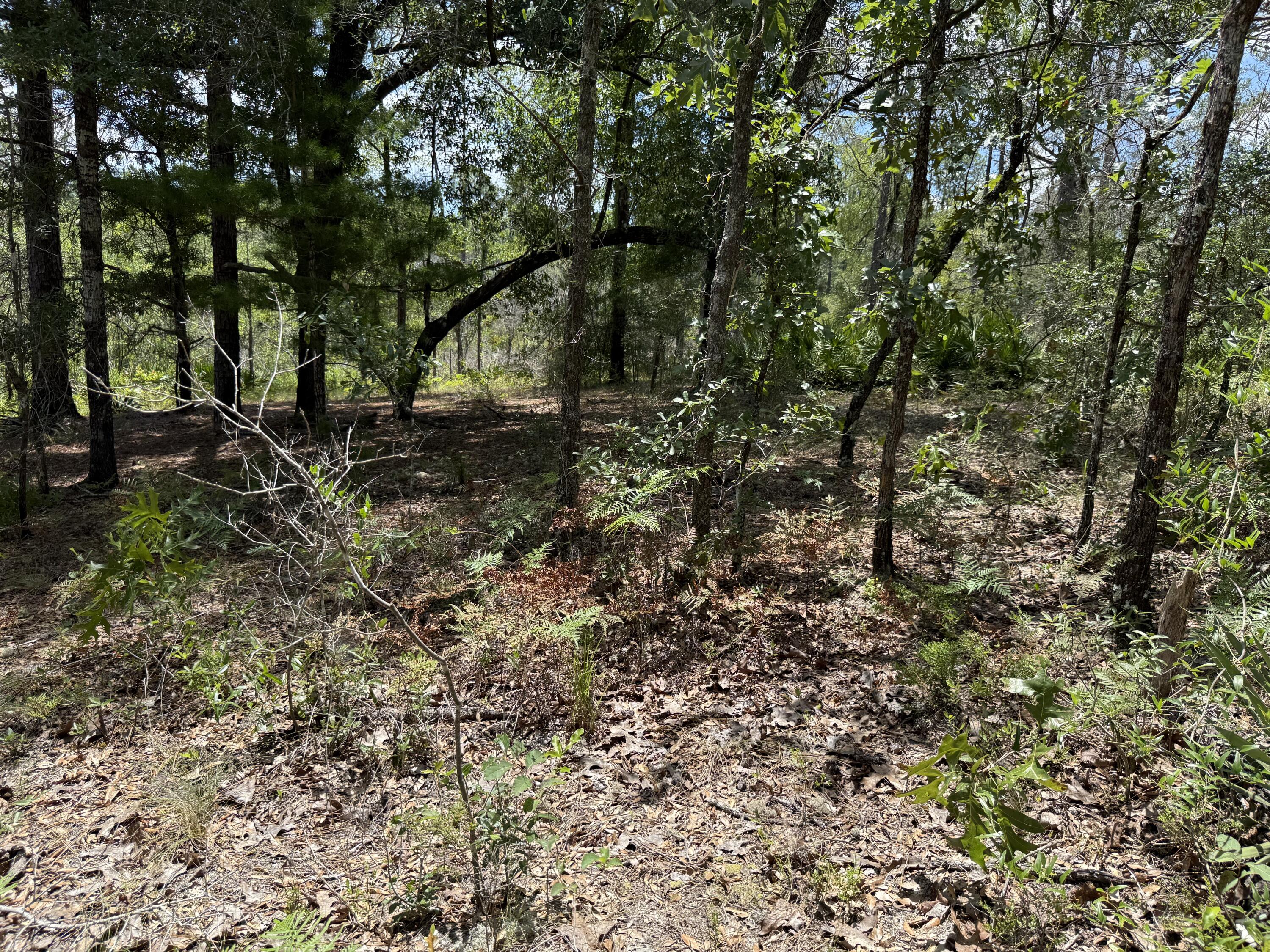 Oakwood Hills Unit I - Land
